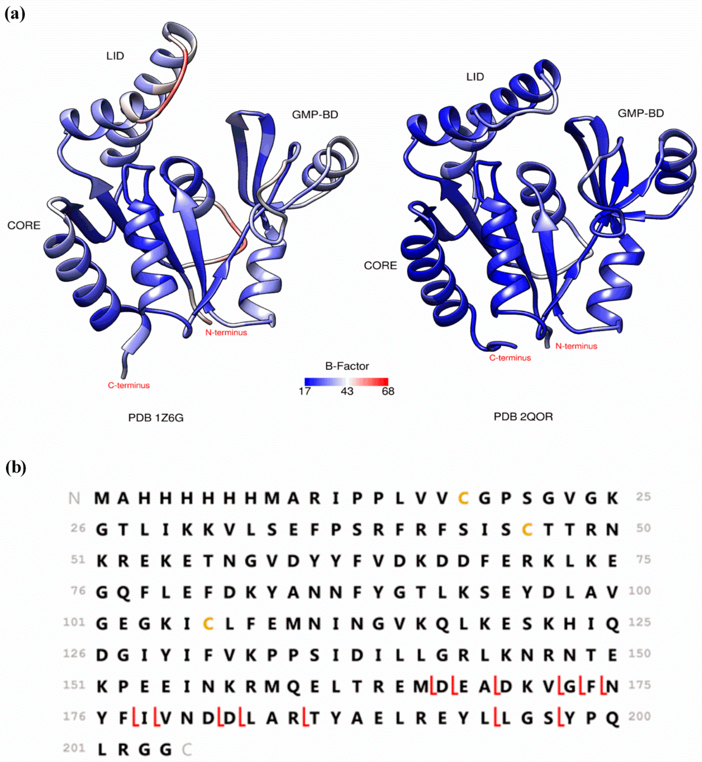 Molecules 21 00984 g002