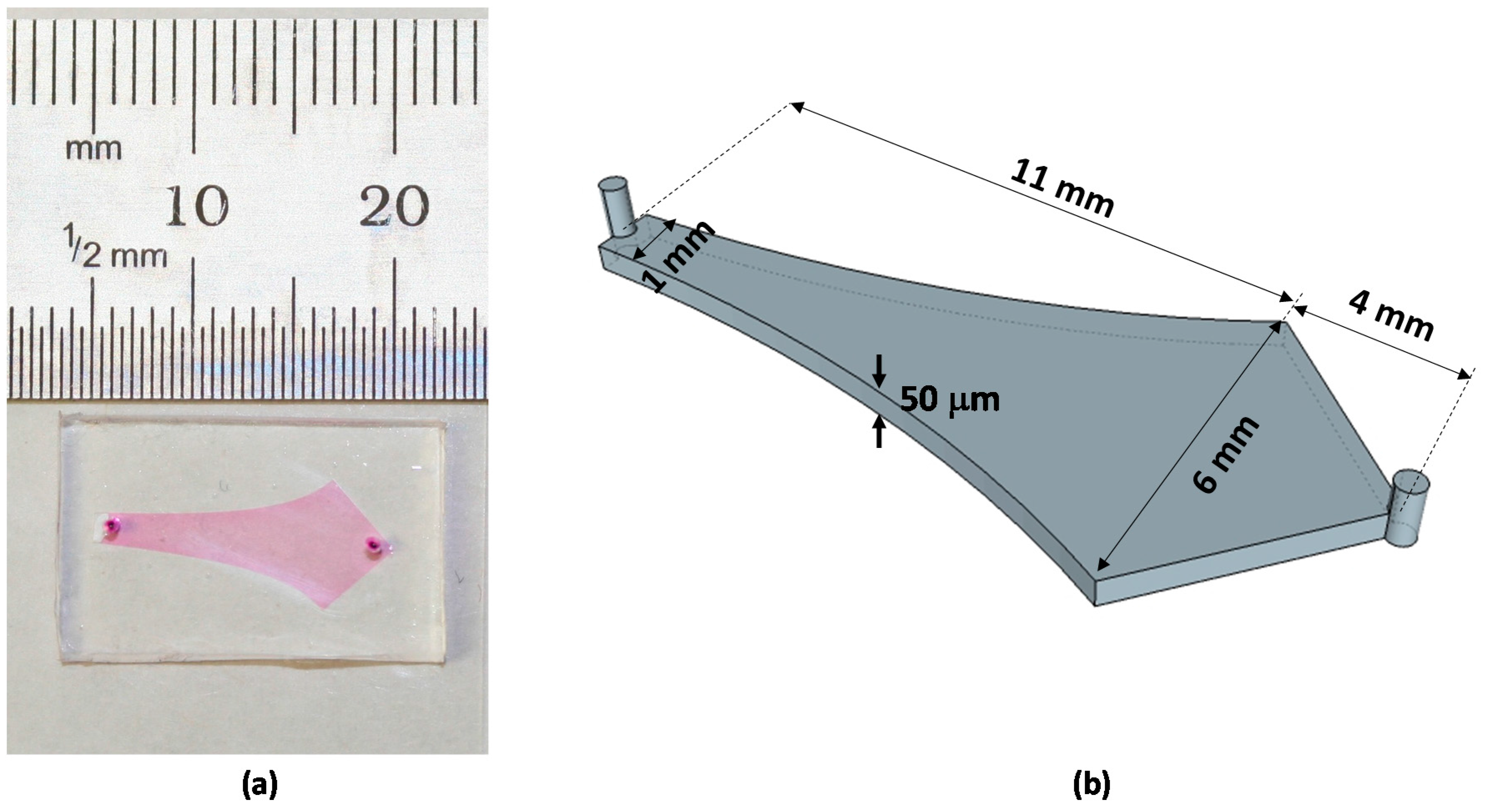 Molecules 21 00985 g001