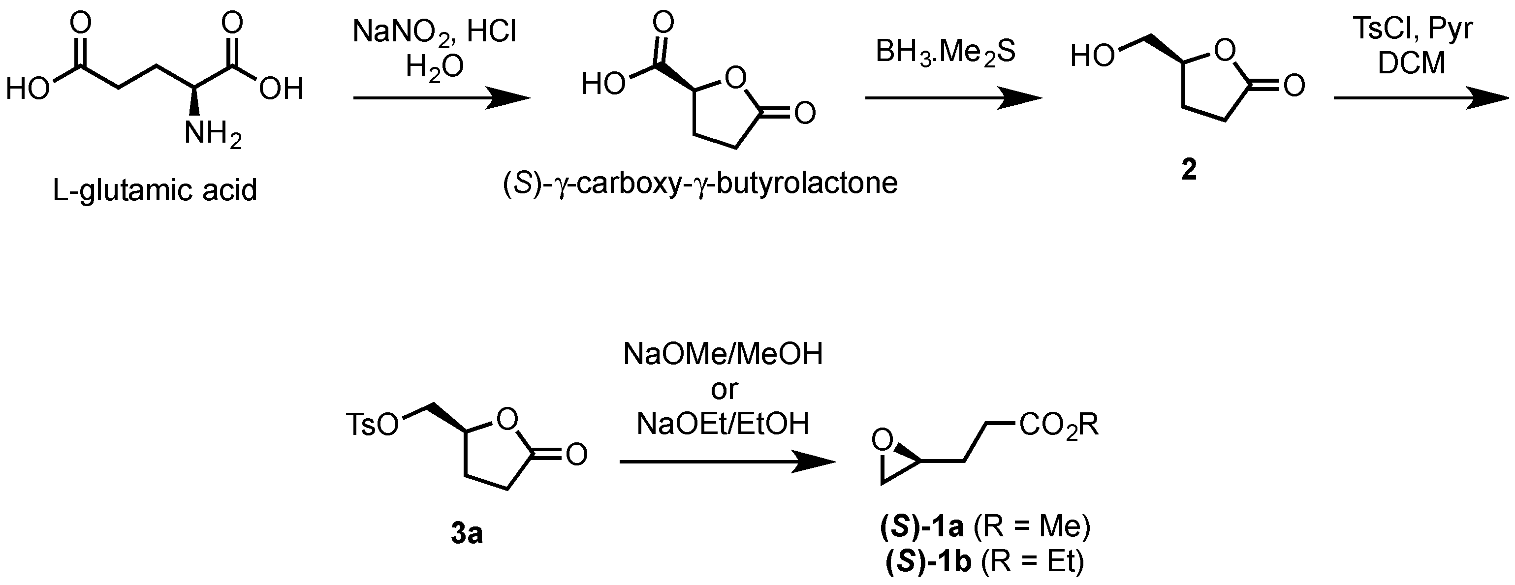 Molecules 21 00988 sch001