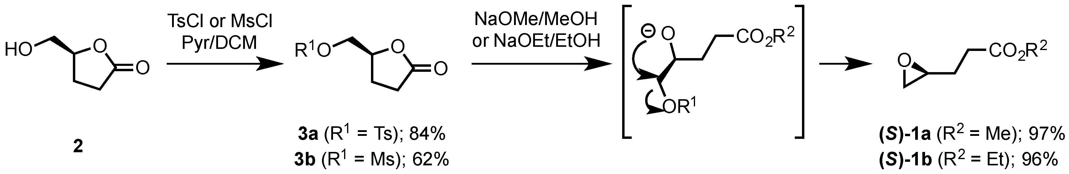 Molecules 21 00988 sch005