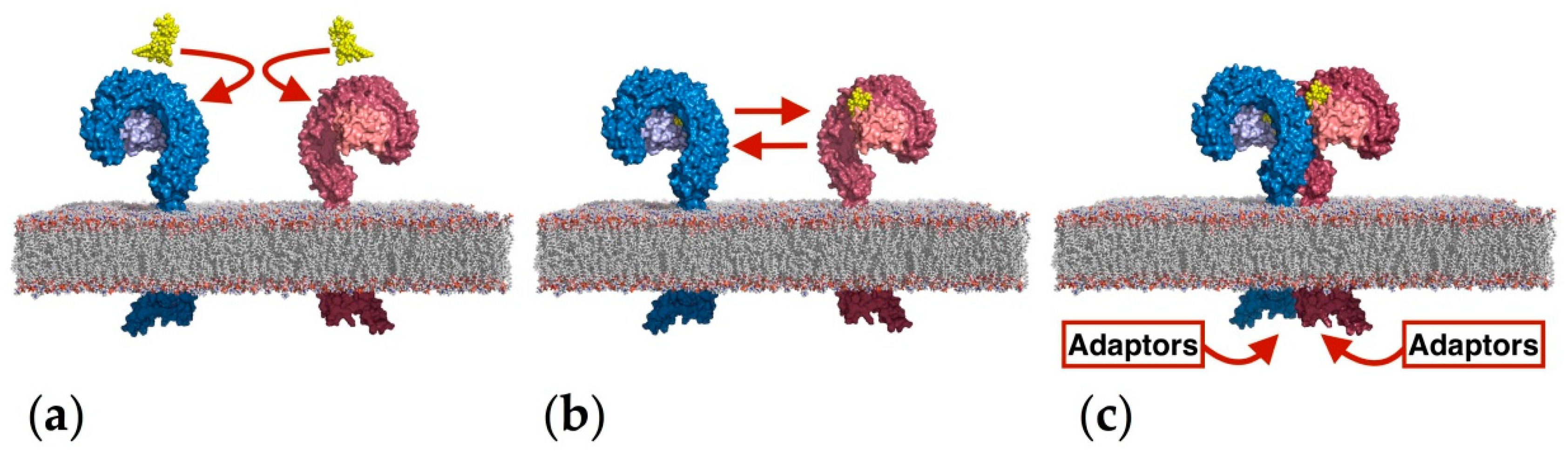 Molecules 21 00994 g001