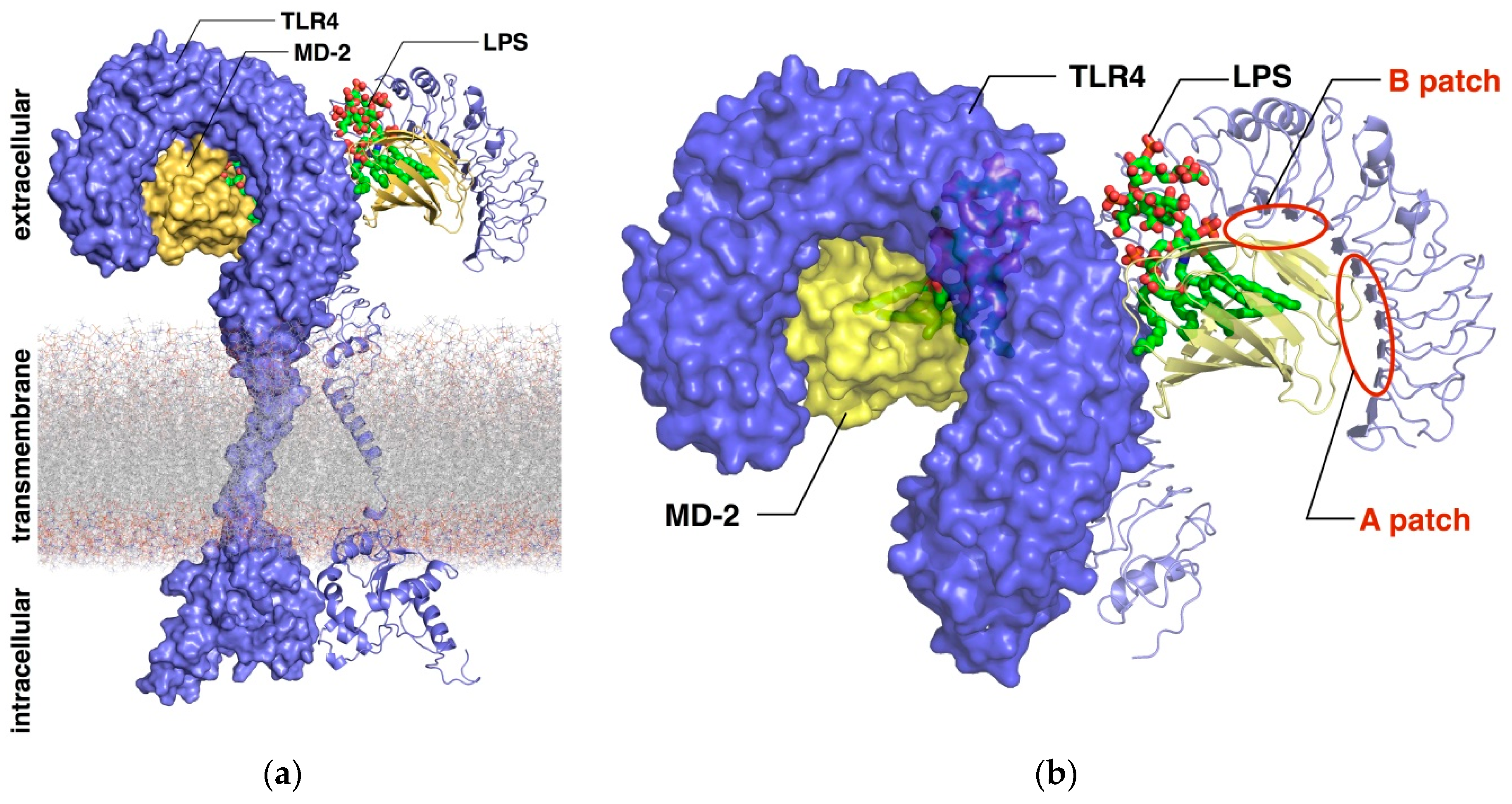Molecules 21 00994 g002
