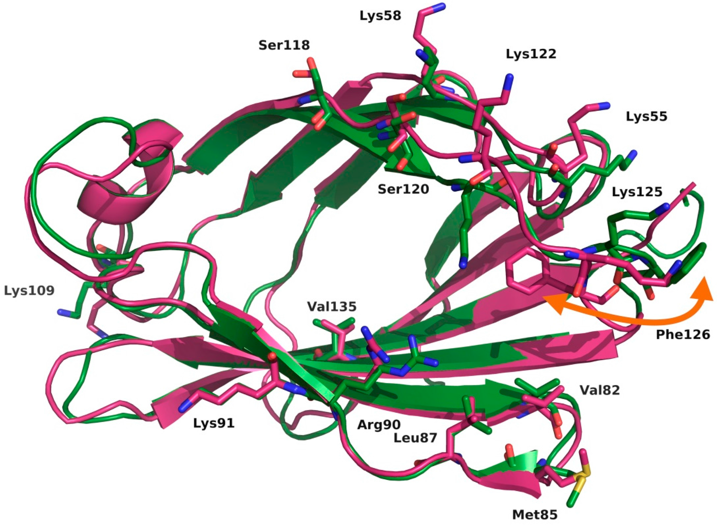 Molecules 21 00994 g004