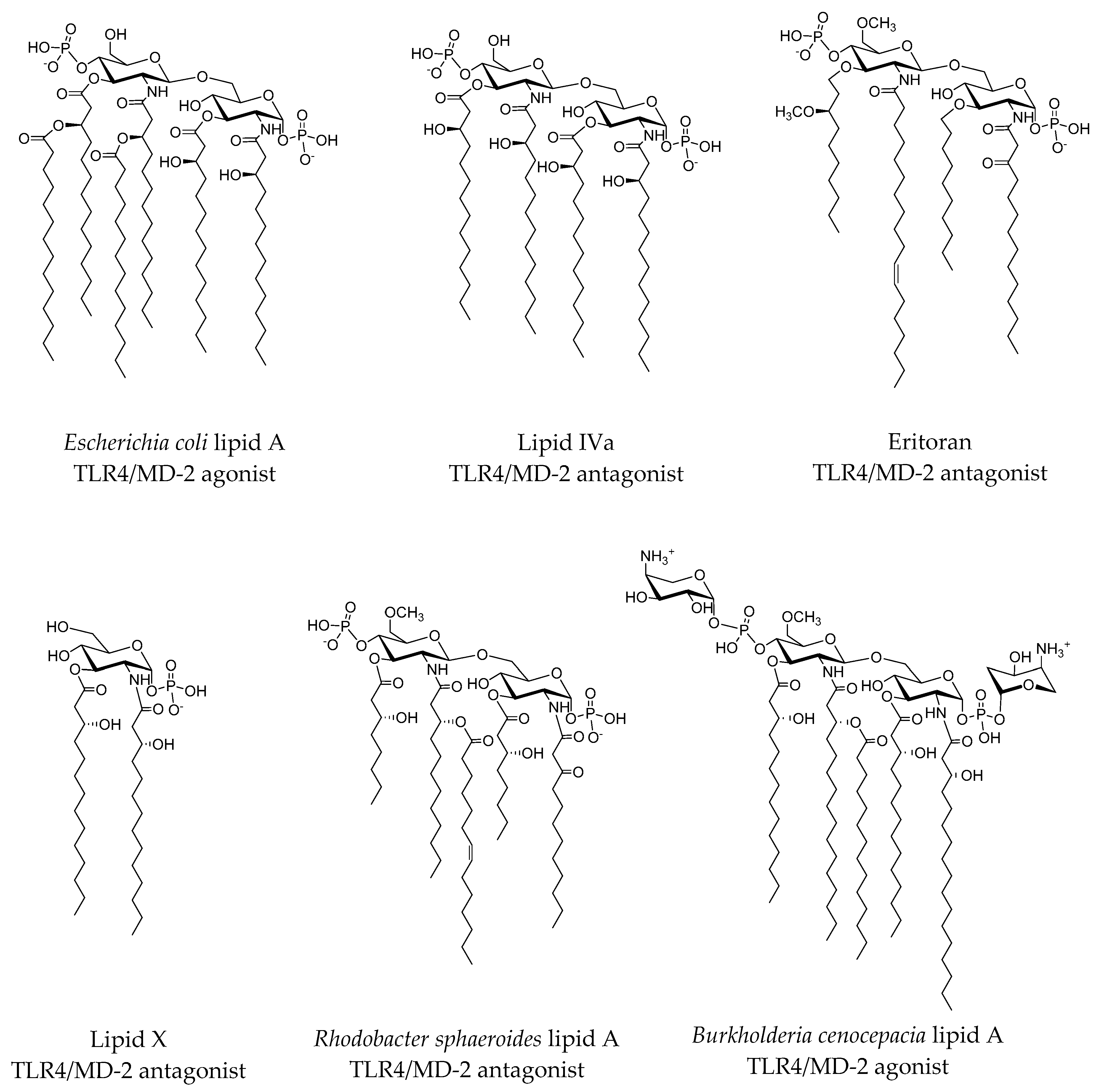 Molecules 21 00994 g005