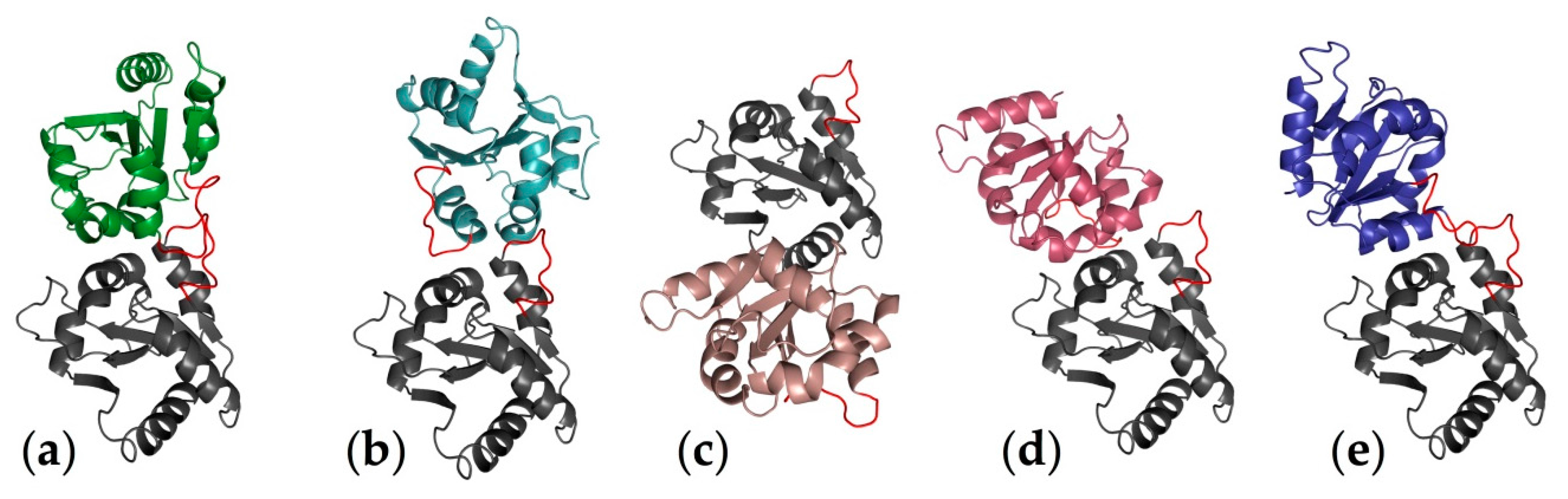 Molecules 21 00994 g010