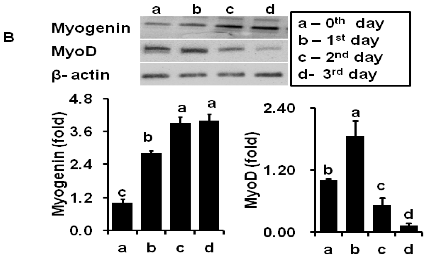 Molecules 21 00997 g002b