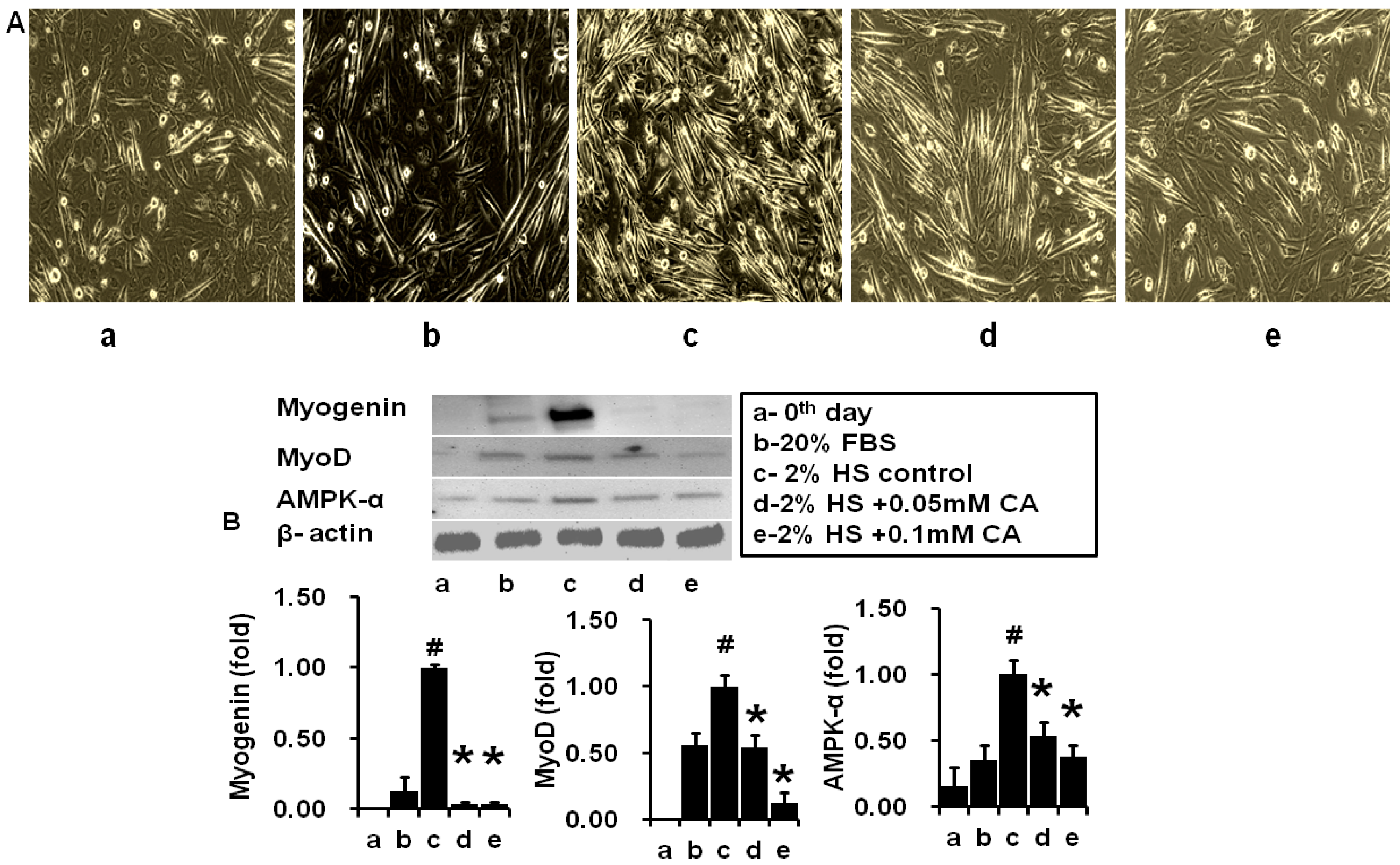 Molecules 21 00997 g003