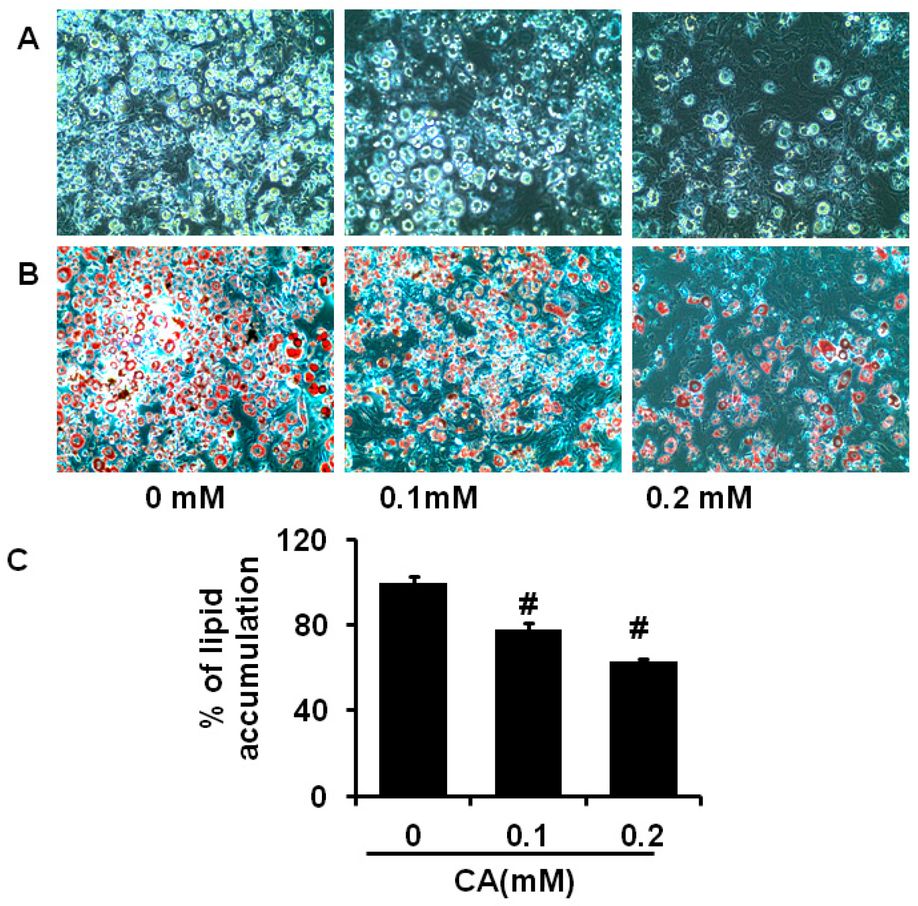 Molecules 21 00997 g004
