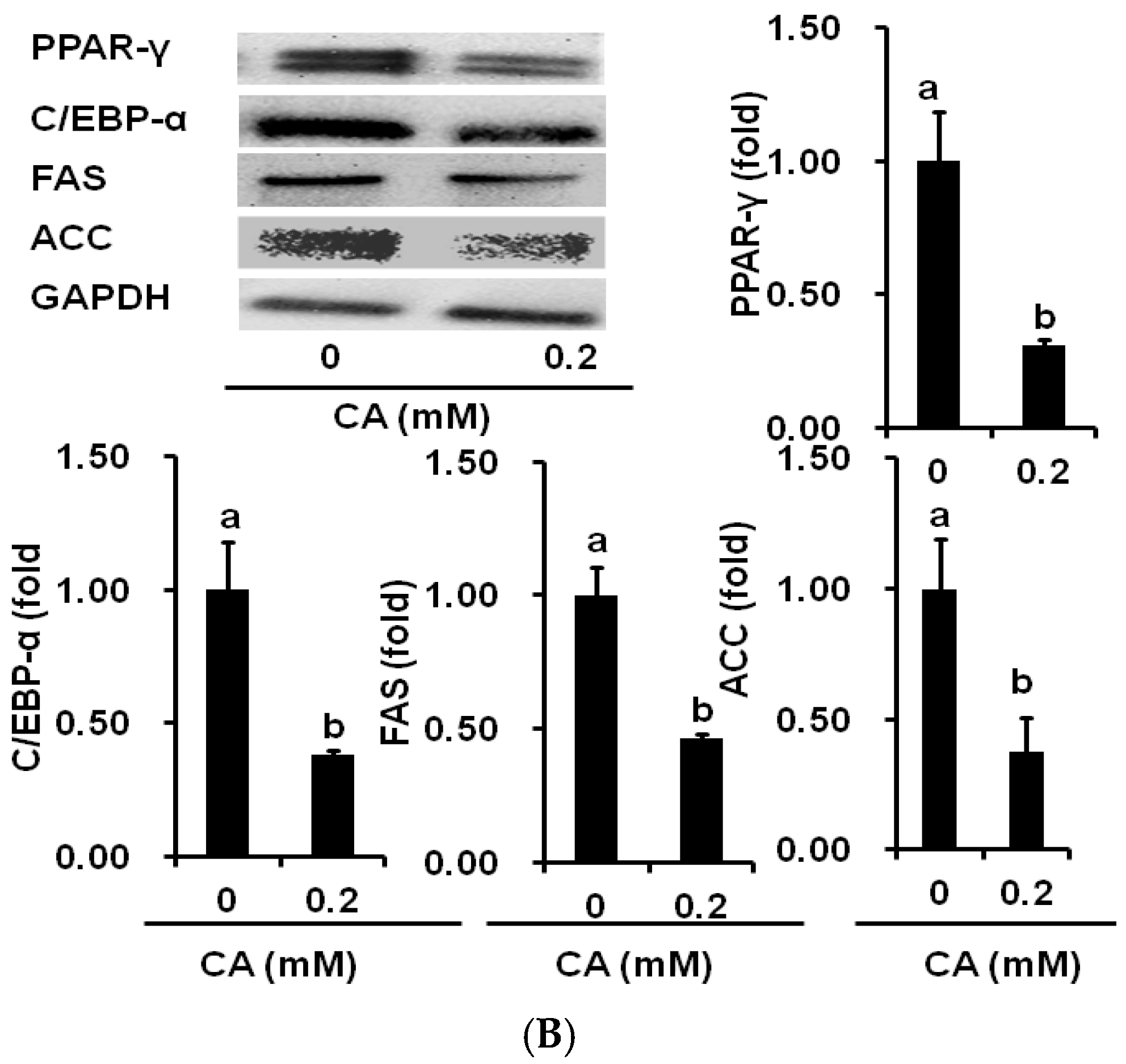 Molecules 21 00997 g005b