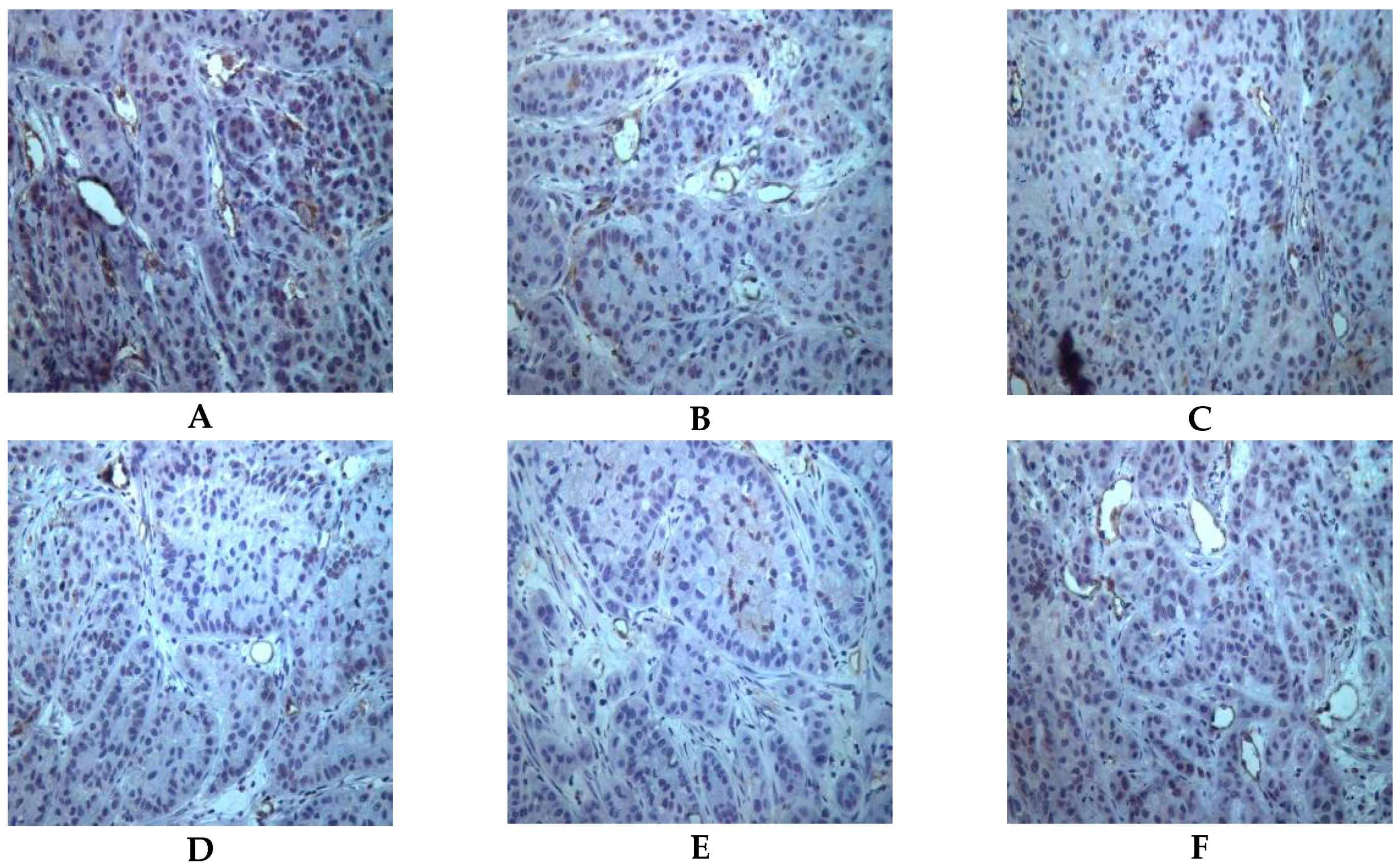 Molecules 21 01001 g006a