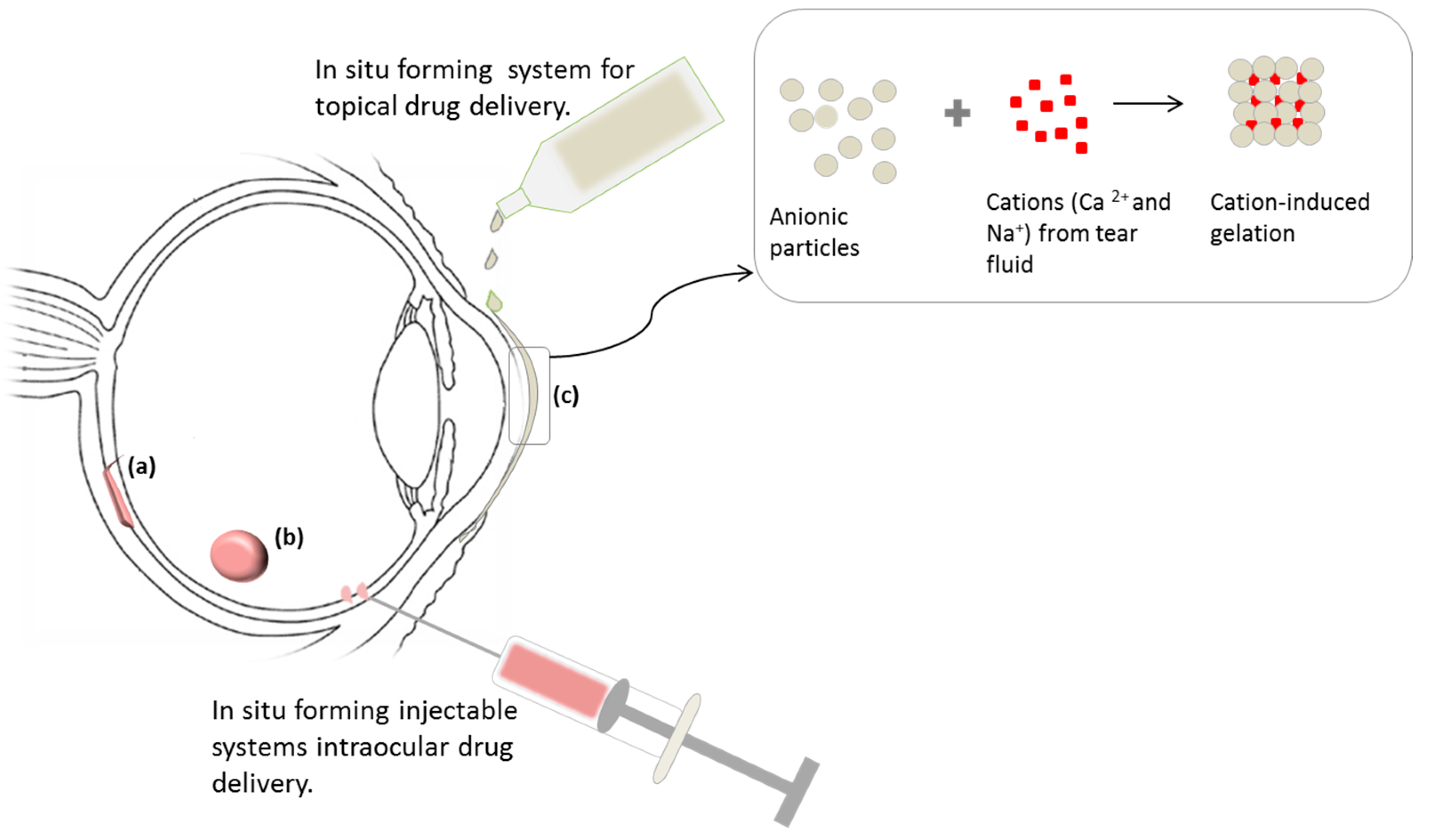 Molecules 21 01002 g005