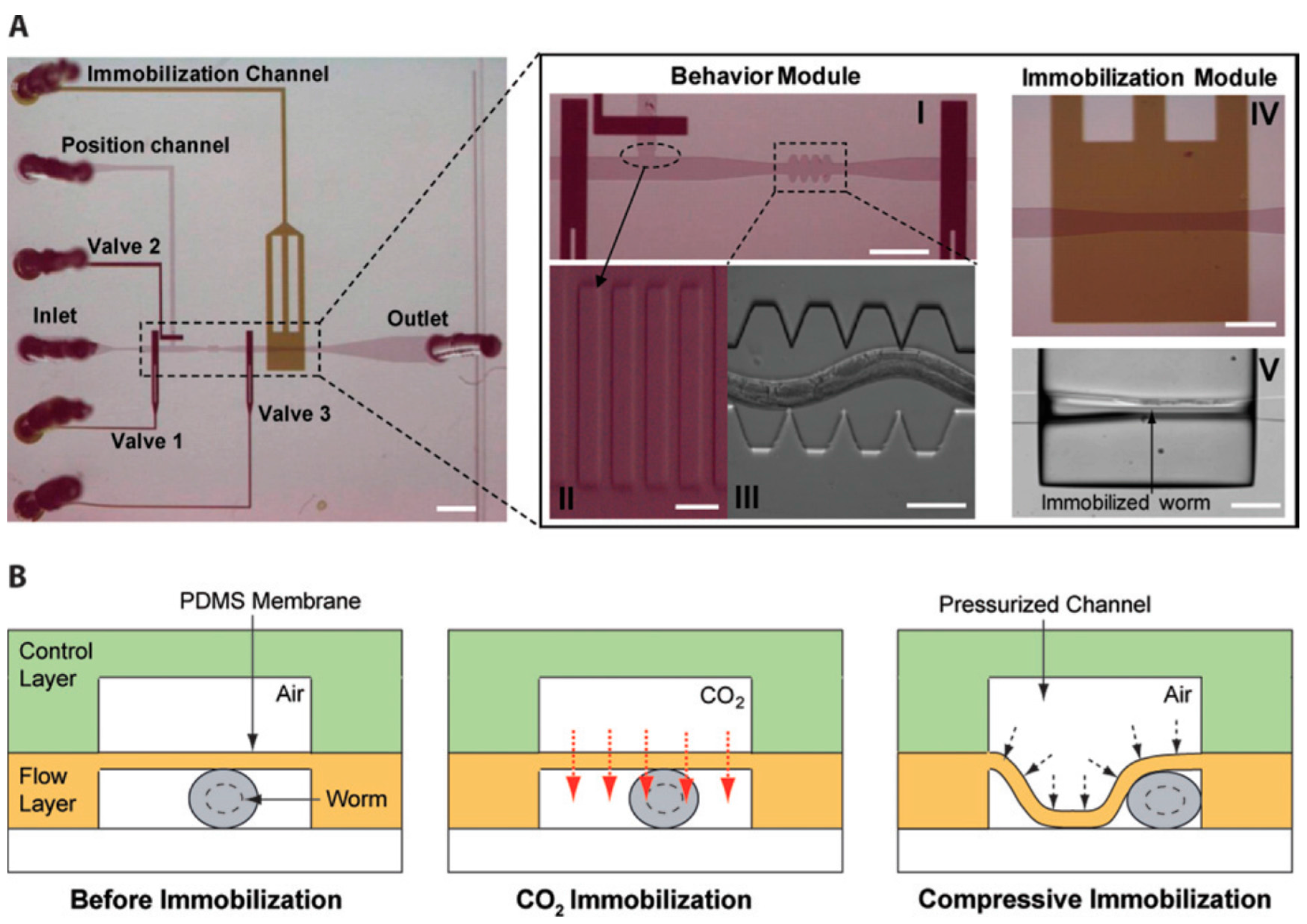 Molecules 21 01006 g001
