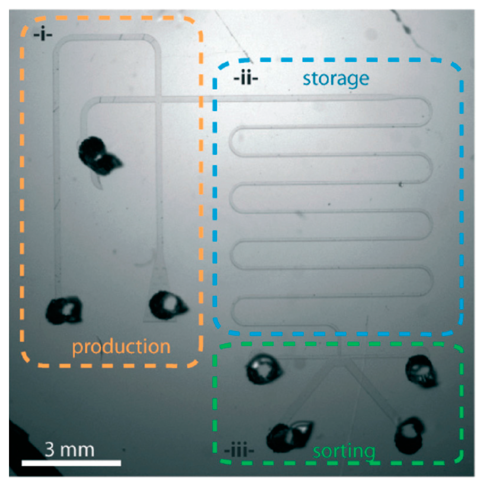 Molecules 21 01006 g002