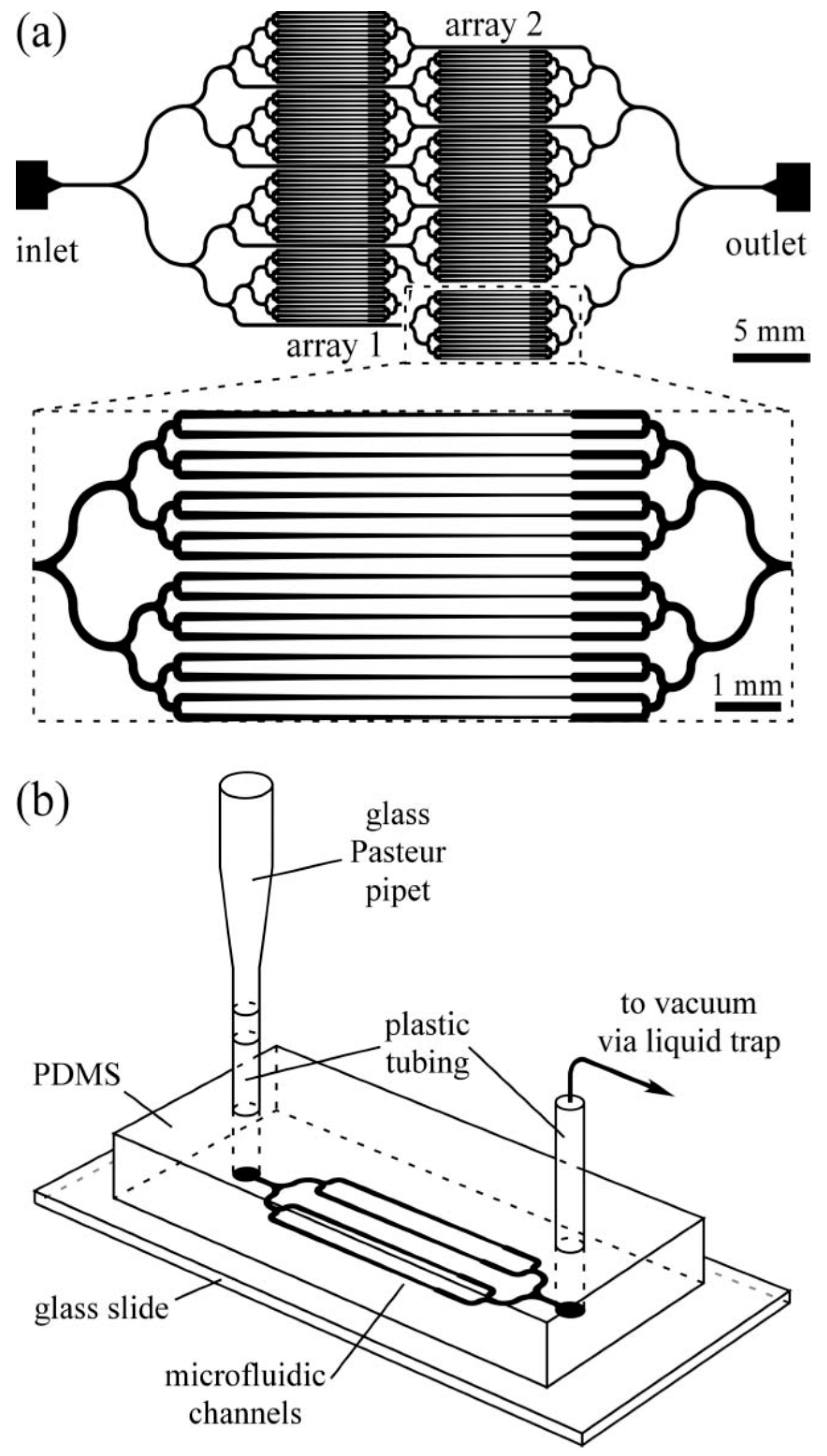 Molecules 21 01006 g004