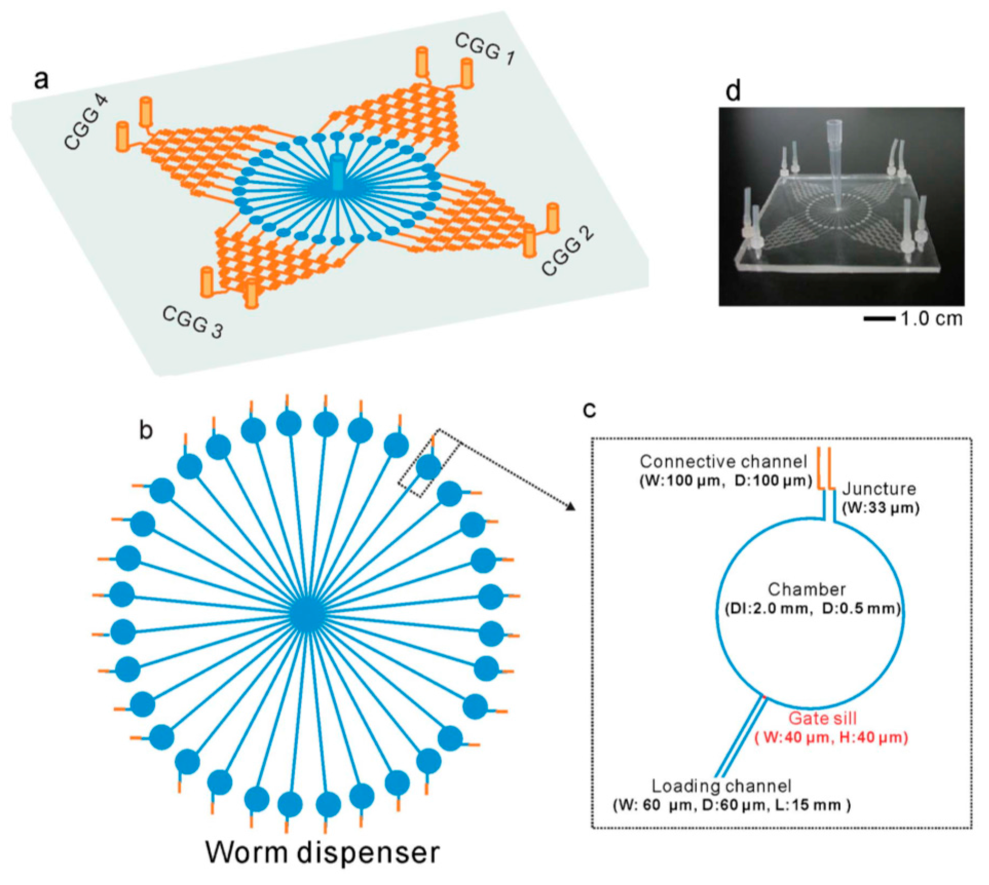 Molecules 21 01006 g009