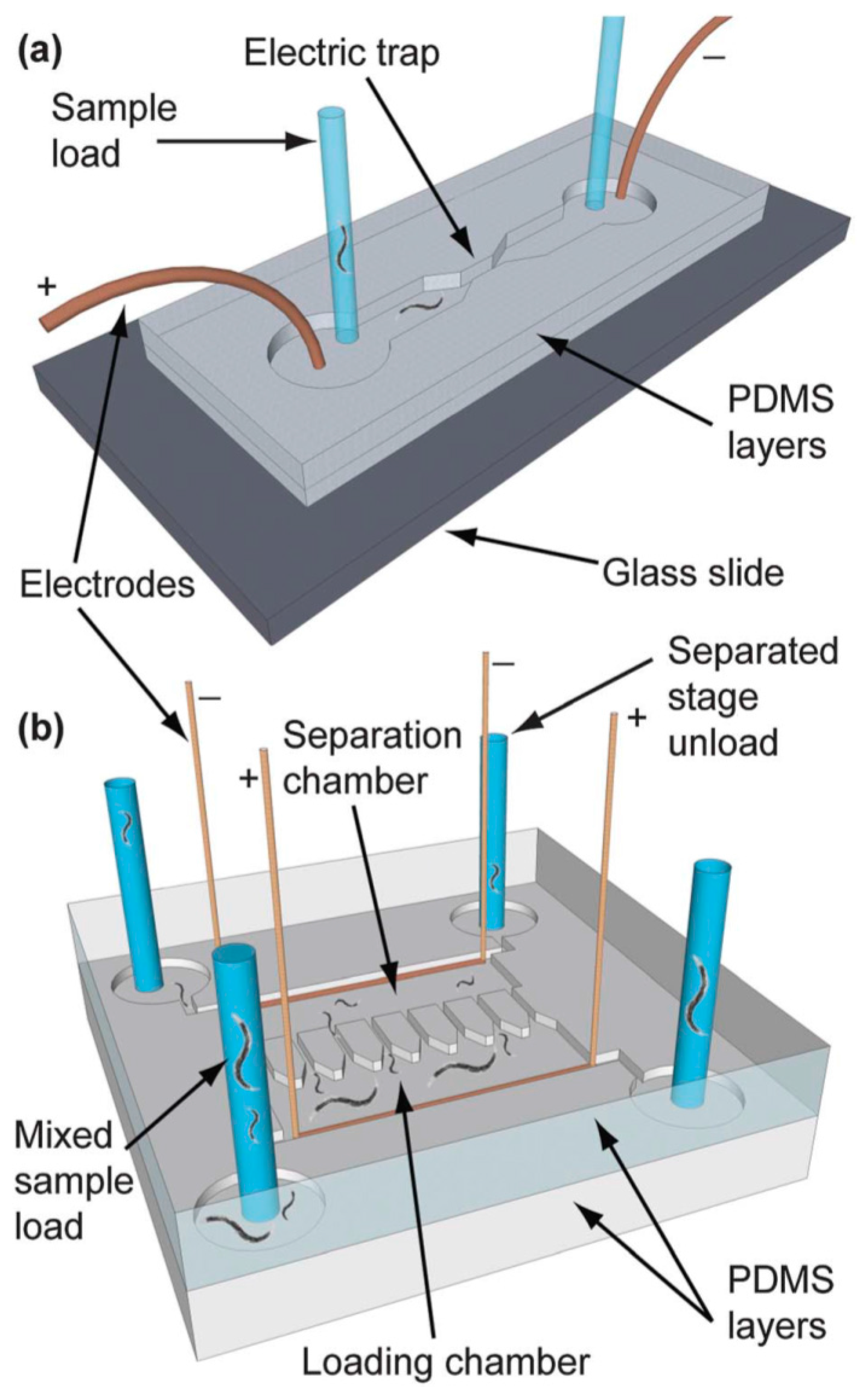Molecules 21 01006 g010