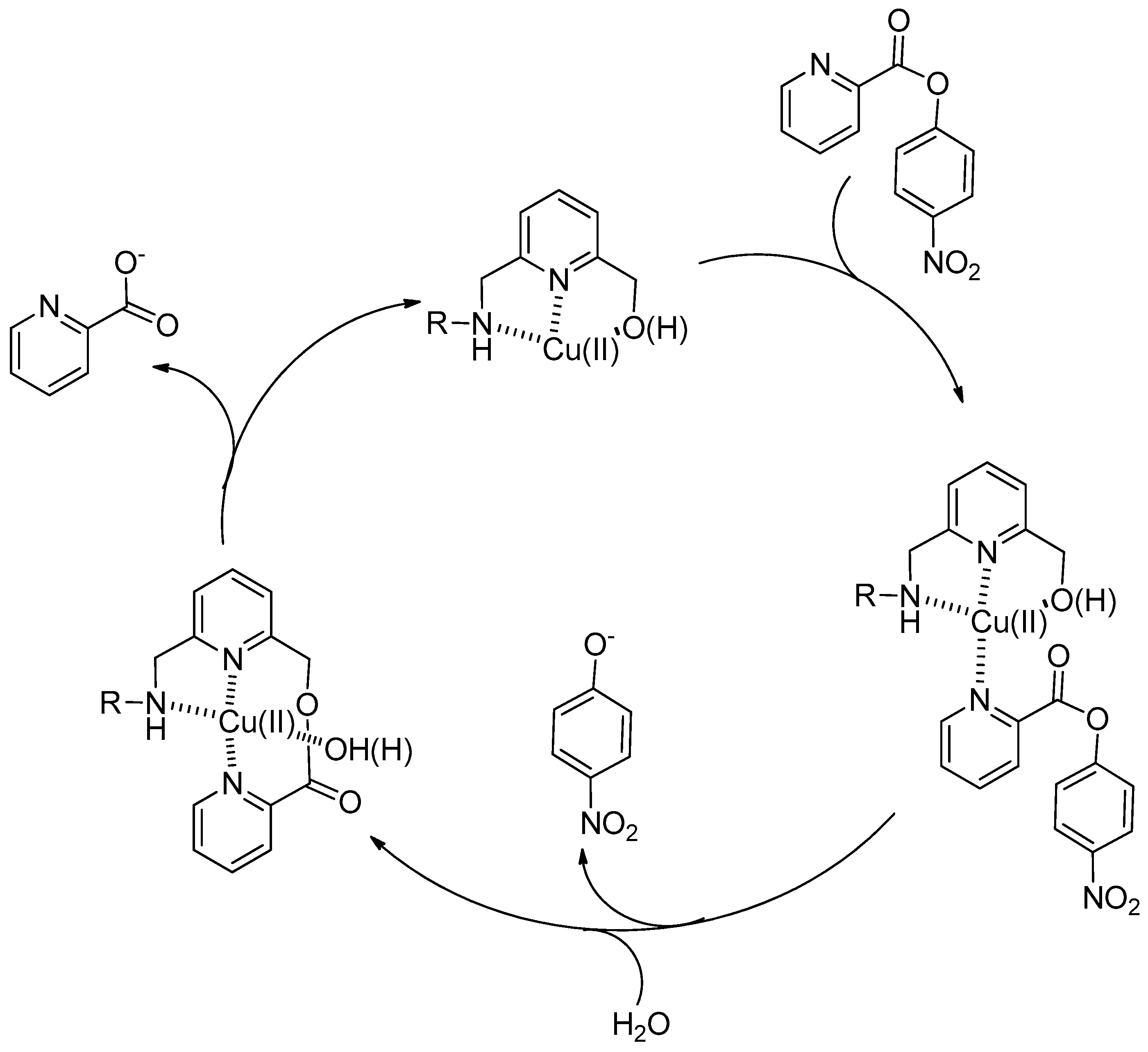 Molecules 21 01014 g002