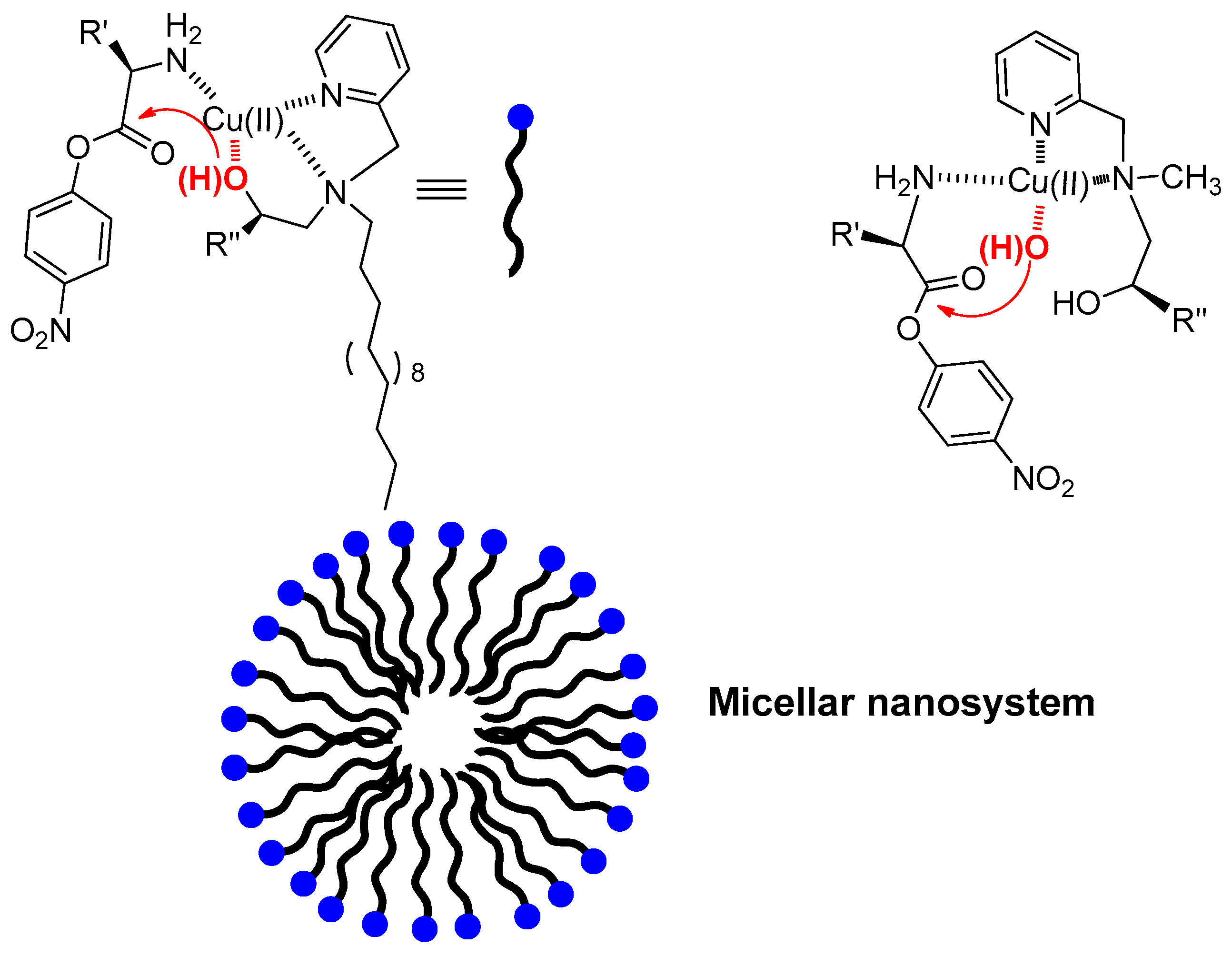 Molecules 21 01014 g003