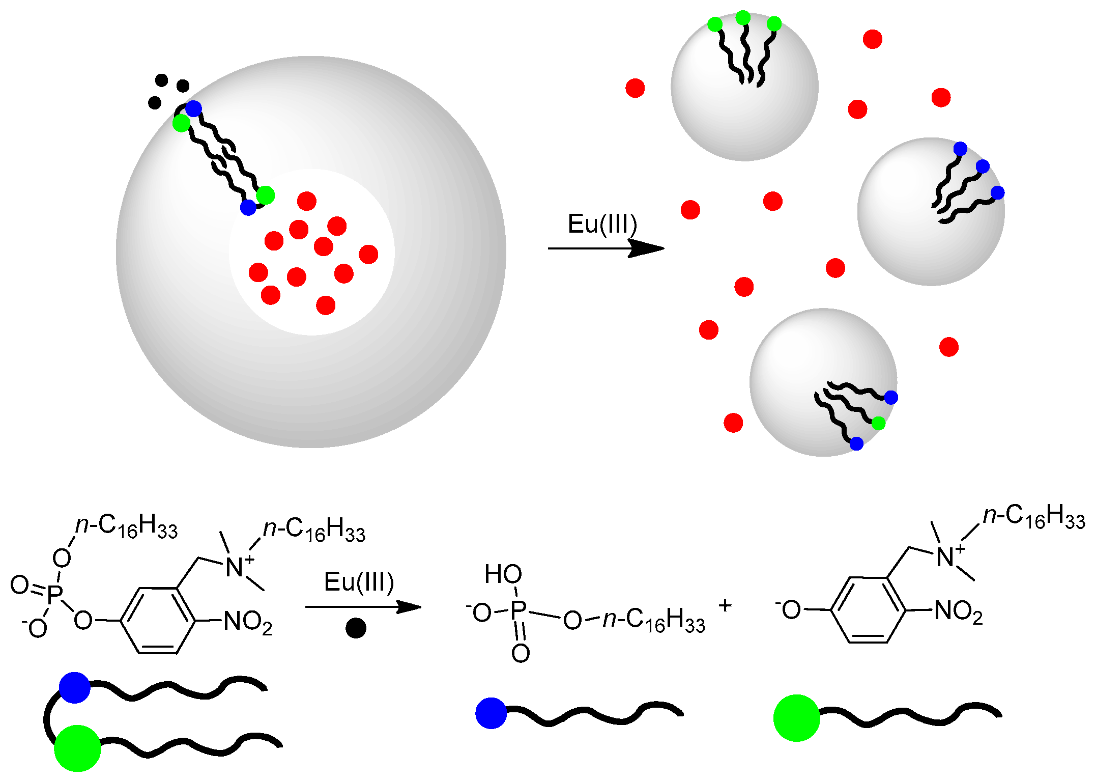 Molecules 21 01014 g004