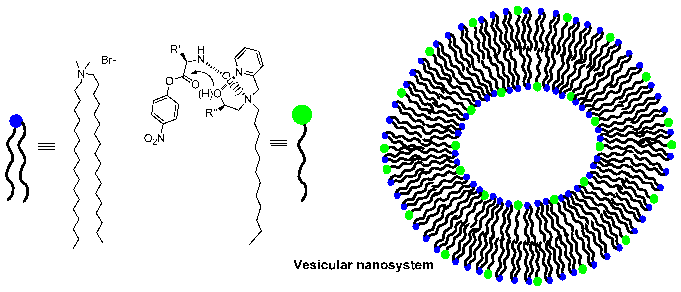 Molecules 21 01014 g005