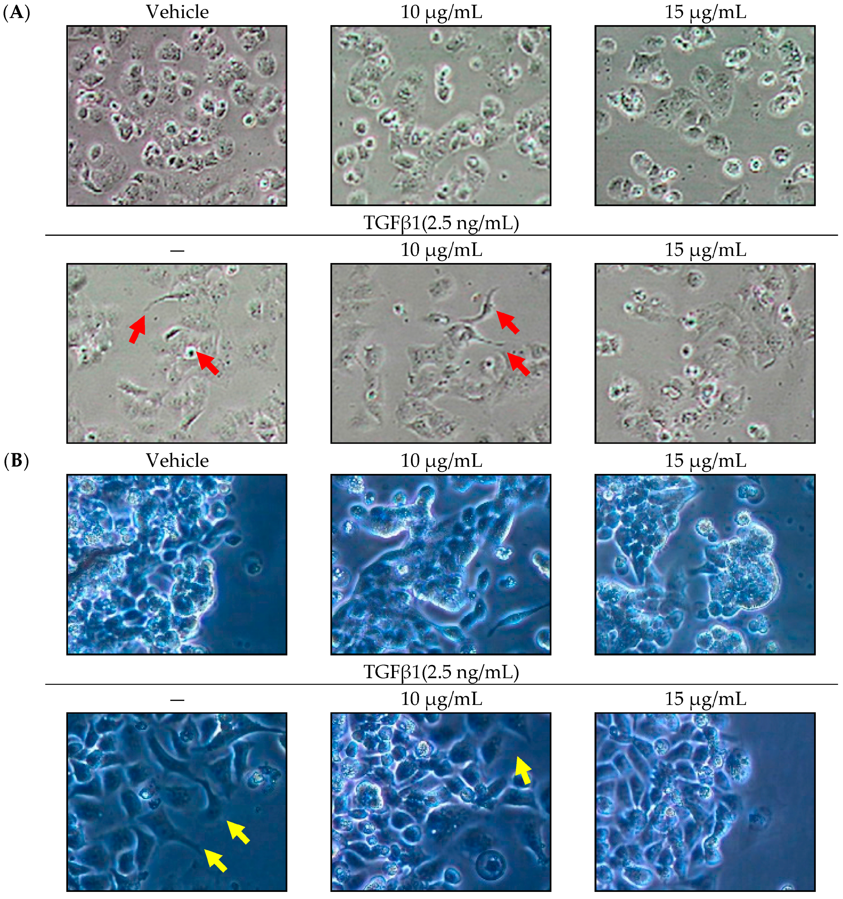 Molecules 21 01021 g001