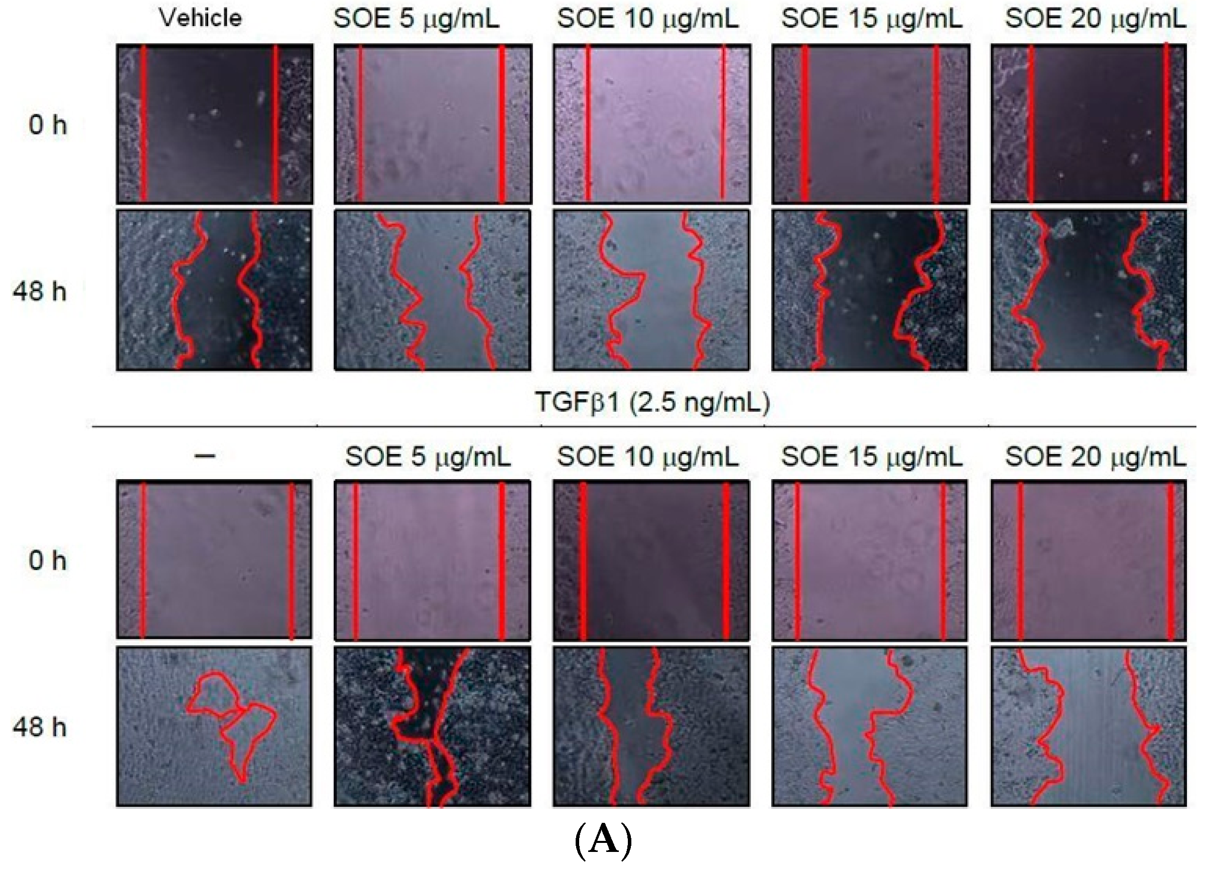 Molecules 21 01021 g003a