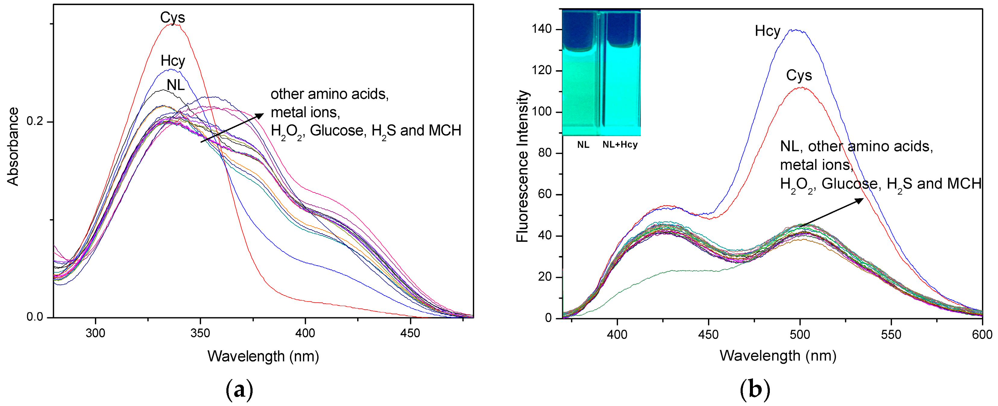 Molecules 21 01023 g002