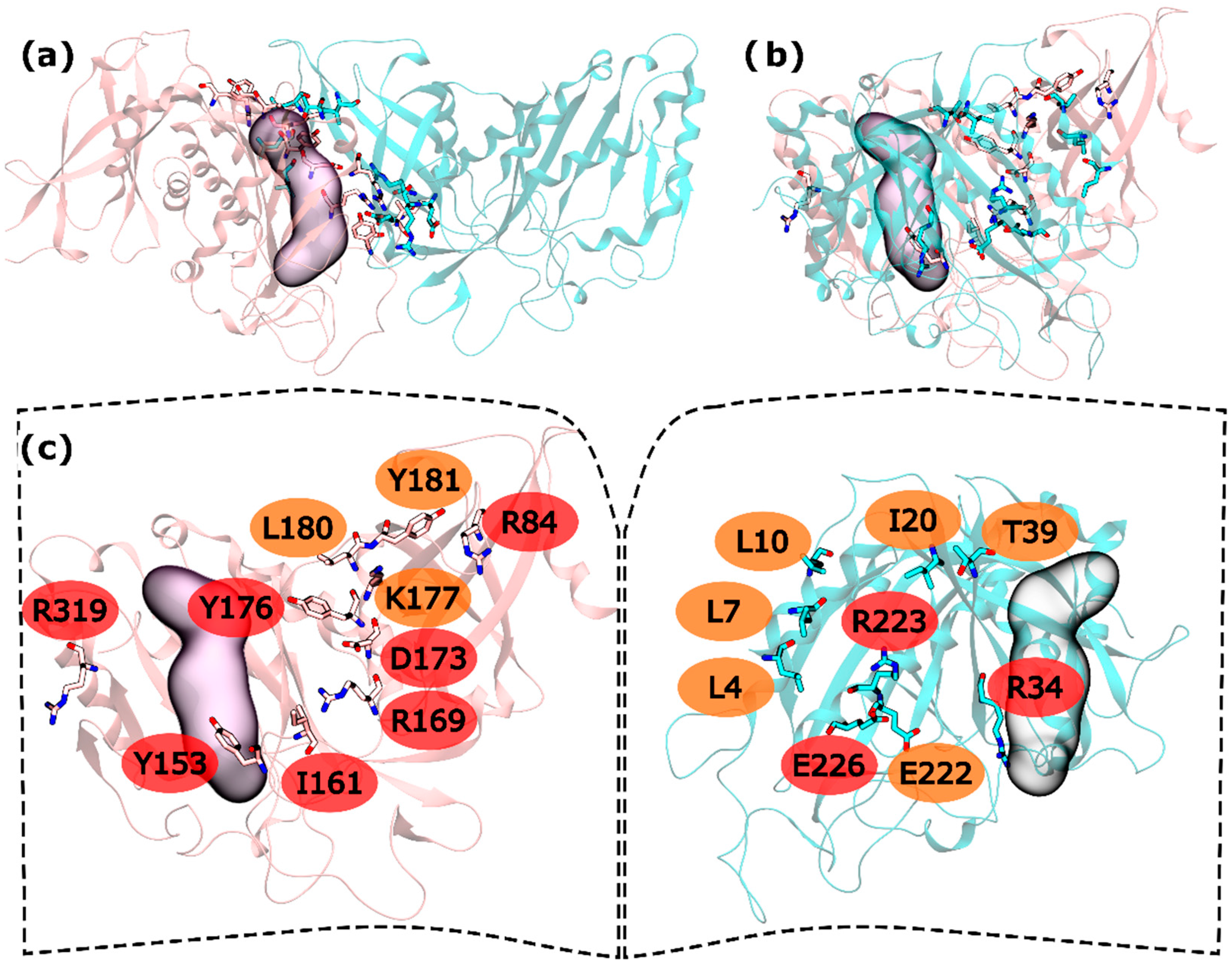 Molecules 21 01028 g002