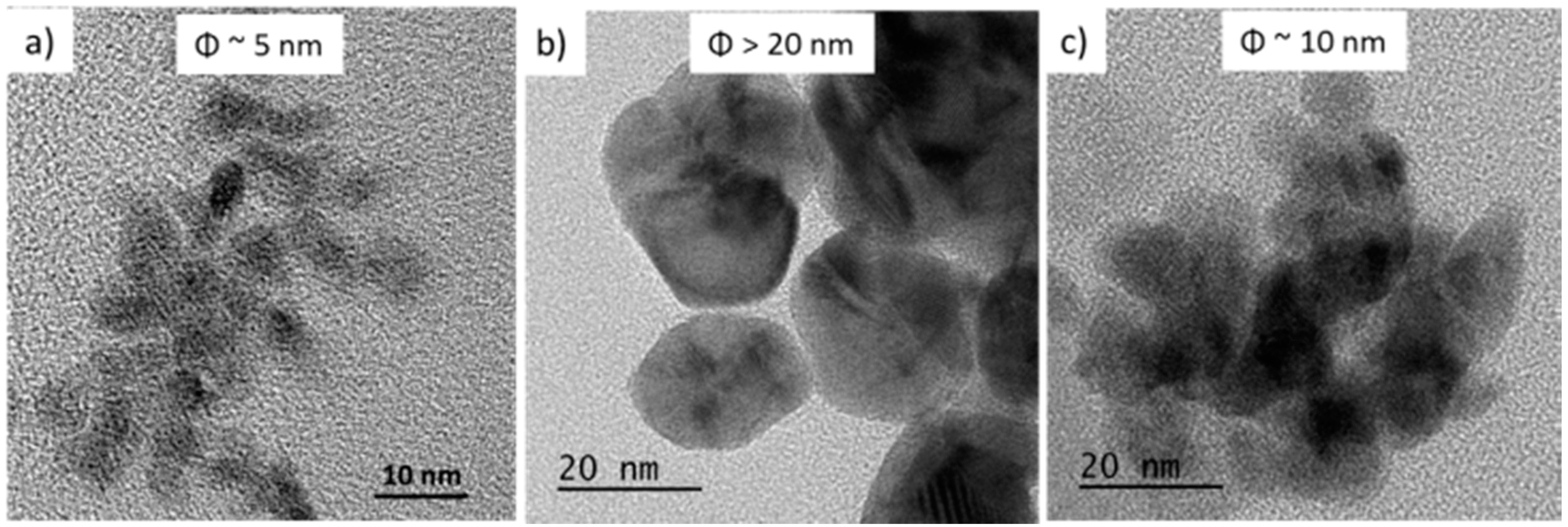 Molecules 21 01042 g002
