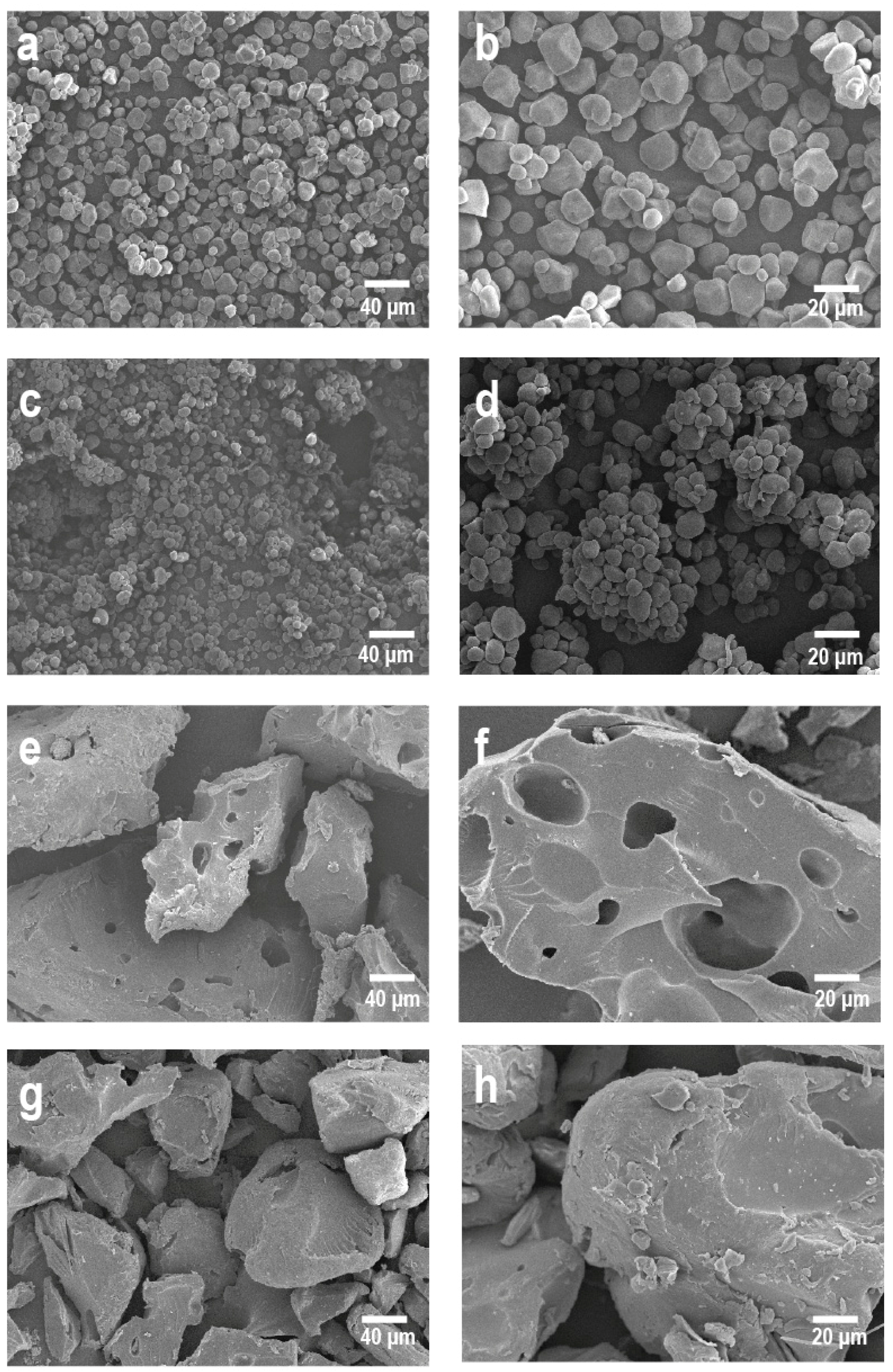 Molecules 21 01064 g004