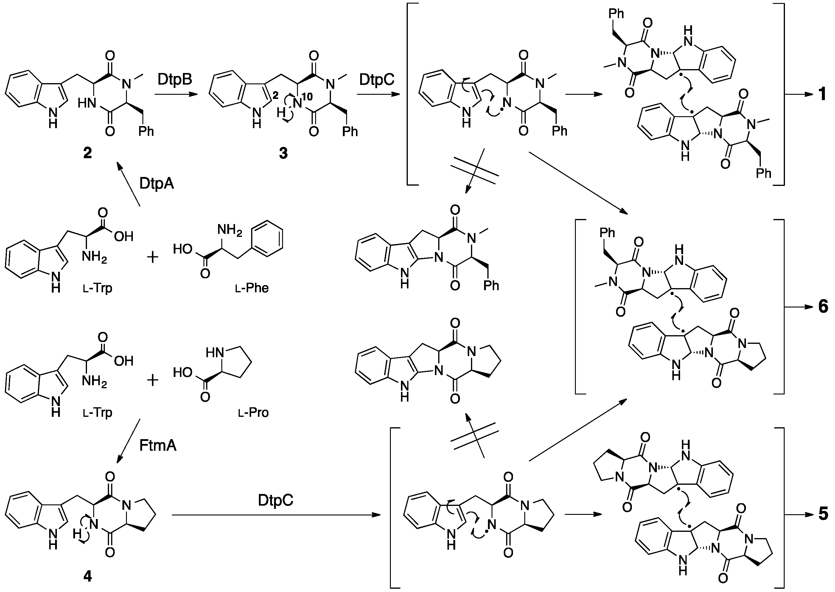 Molecules 21 01078 g004