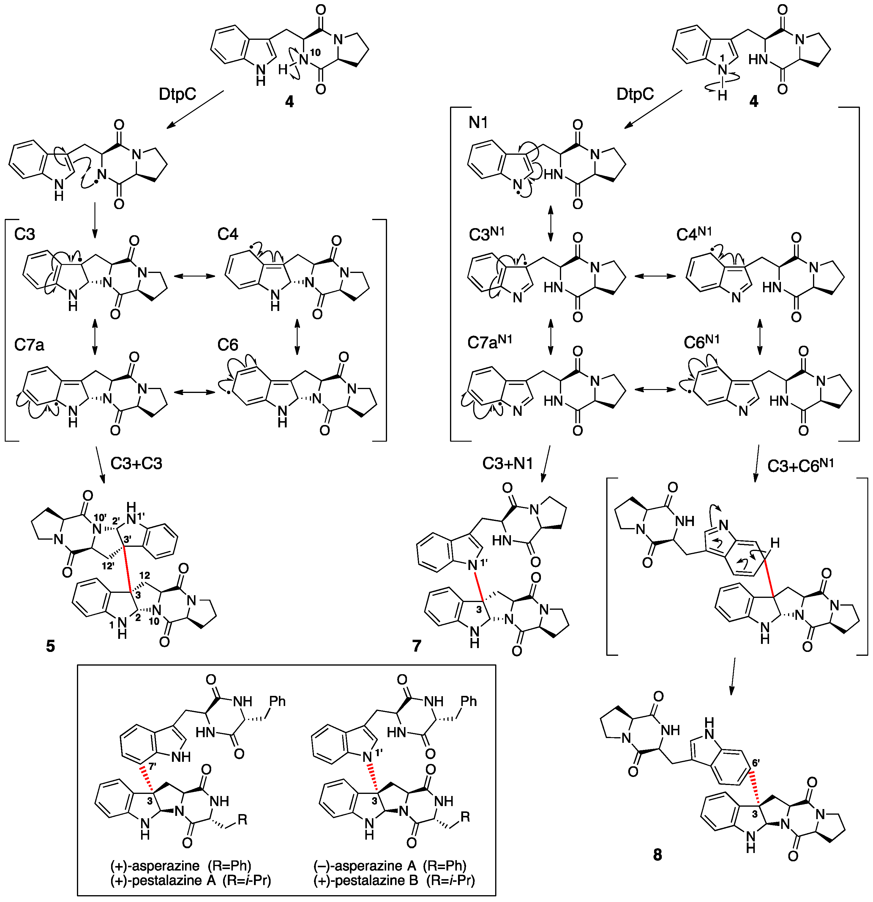 Molecules 21 01078 g006
