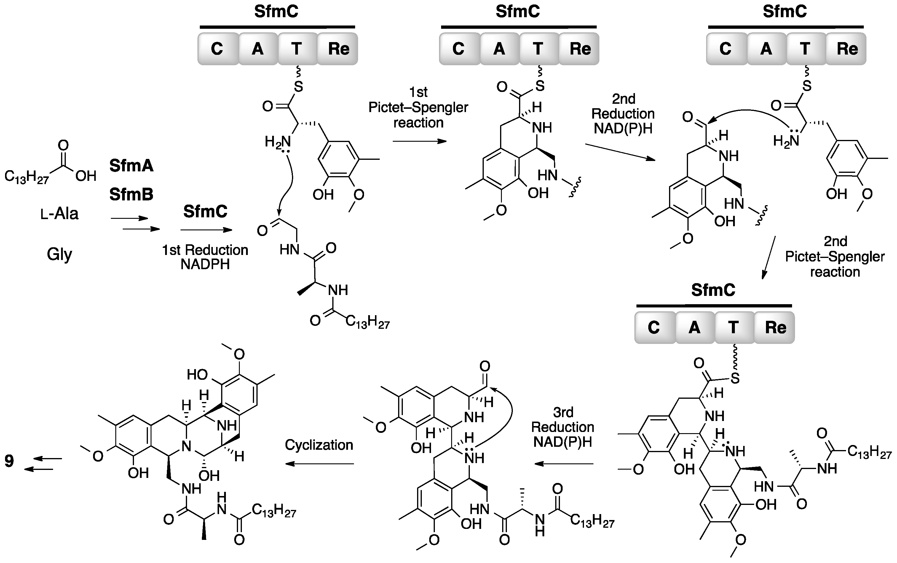 Molecules 21 01078 g008