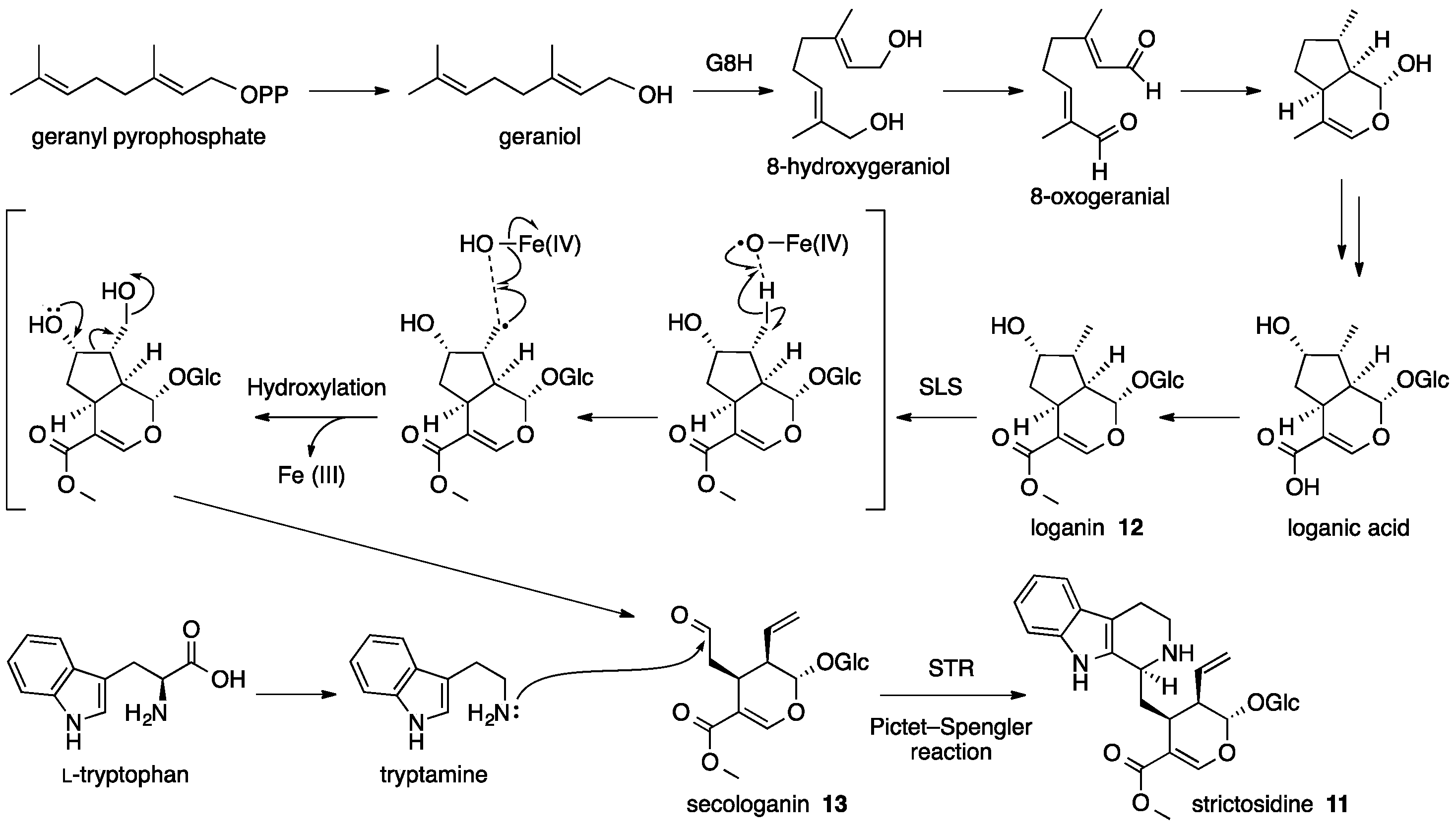Molecules 21 01078 g009
