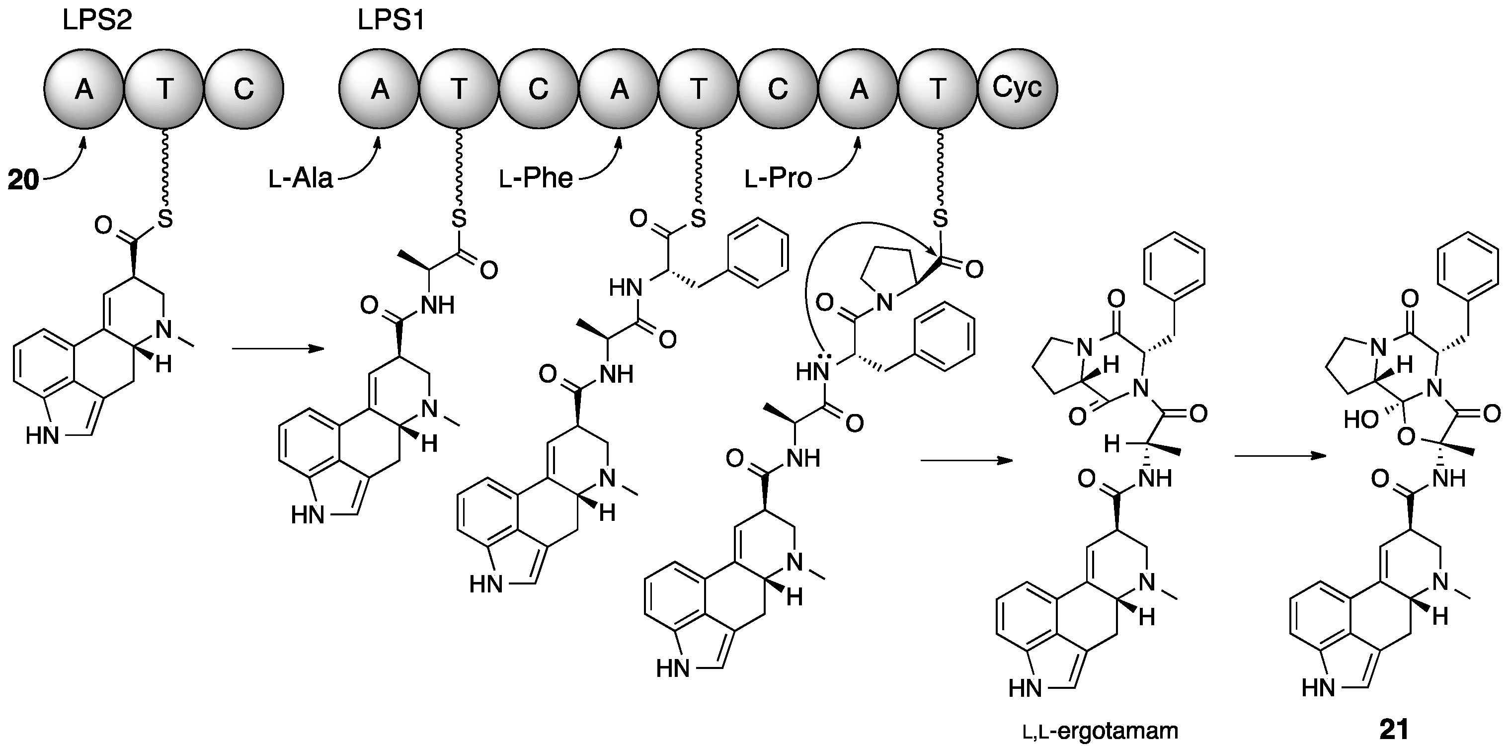 Molecules 21 01078 g011