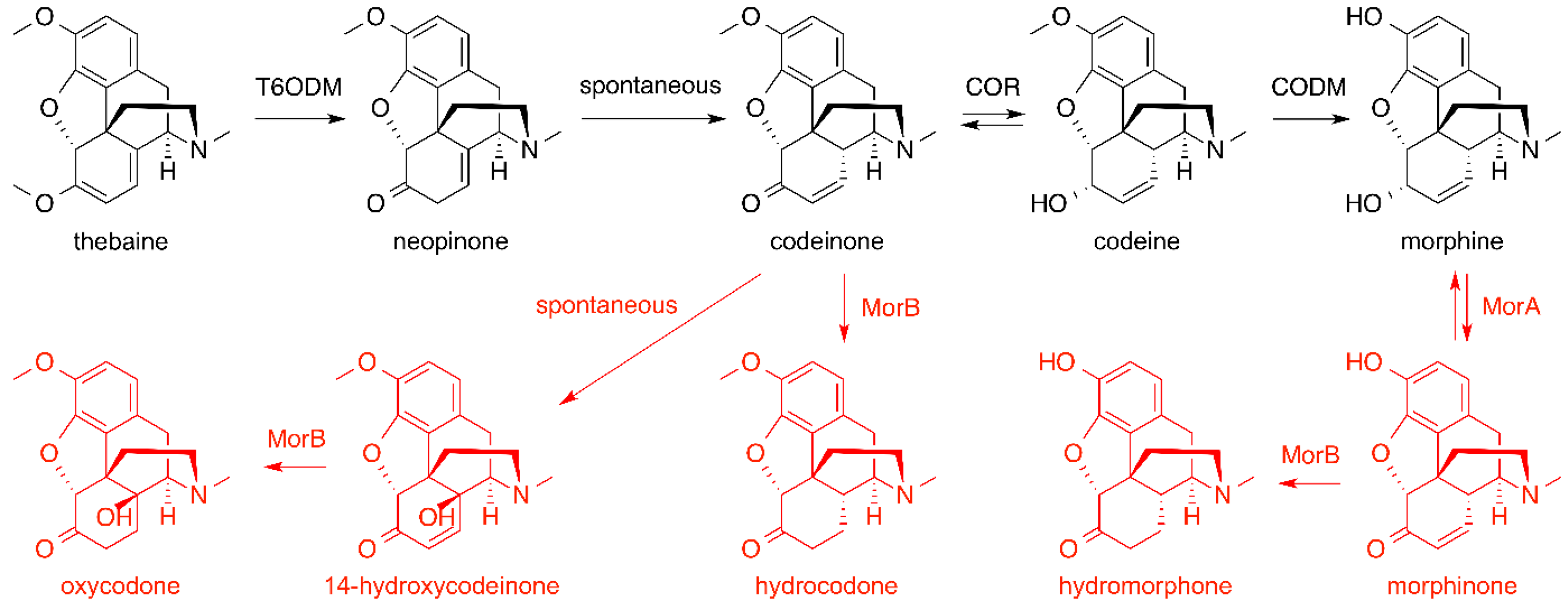 Molecules 21 01078 g014