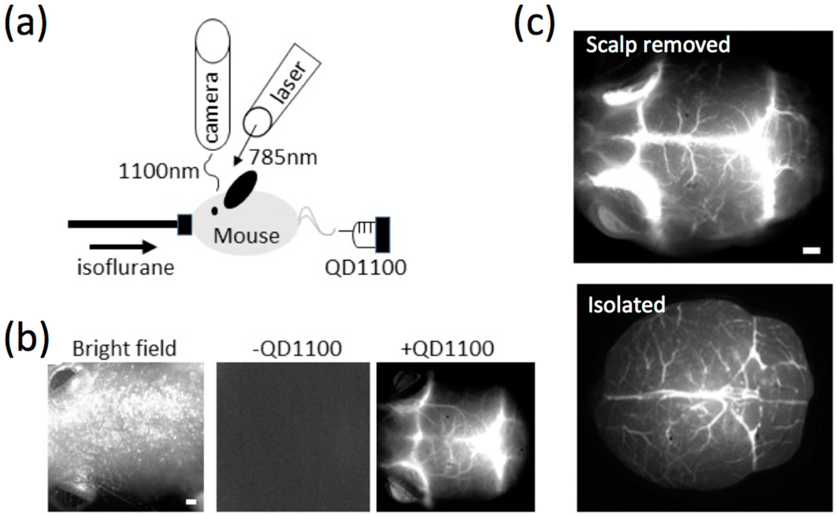 Molecules 21 01080 g004