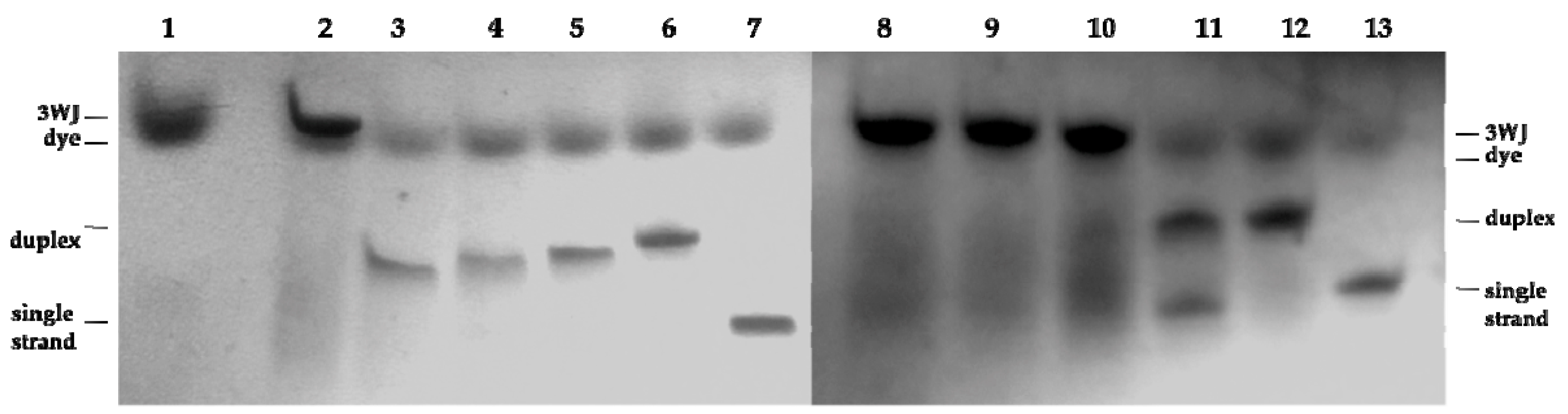 Molecules 21 01082 g002