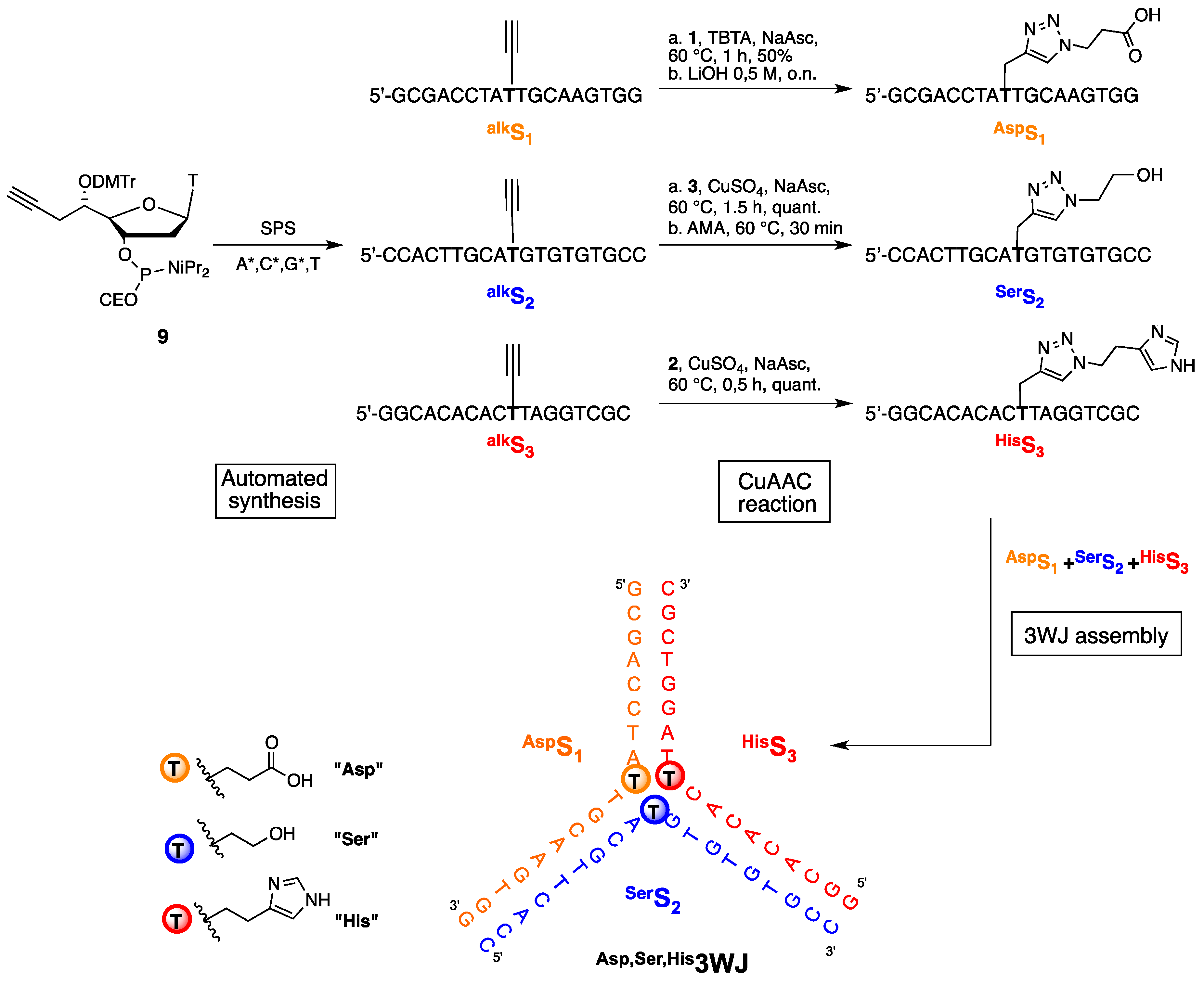 Molecules 21 01082 sch002