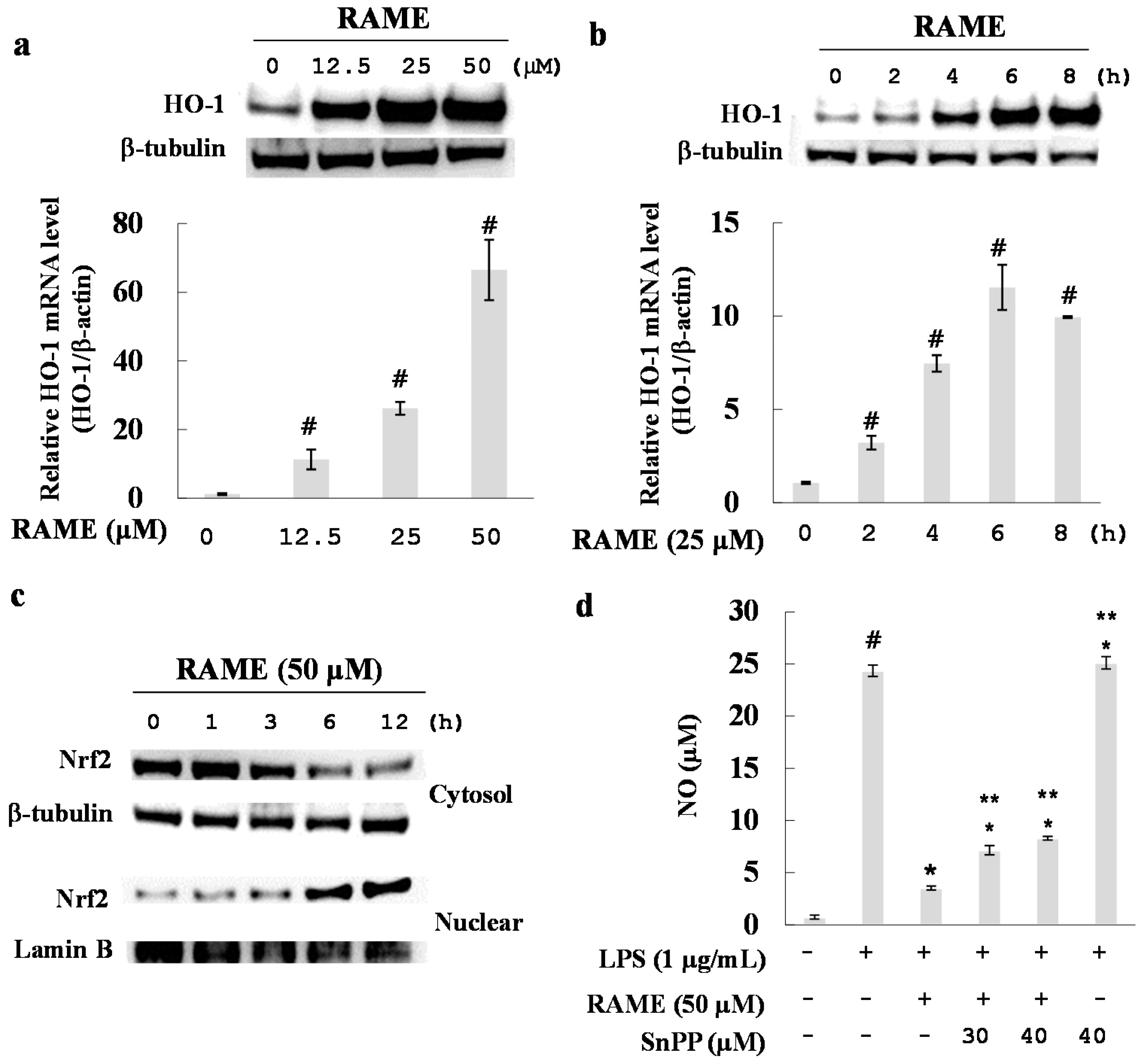 Molecules 21 01083 g006