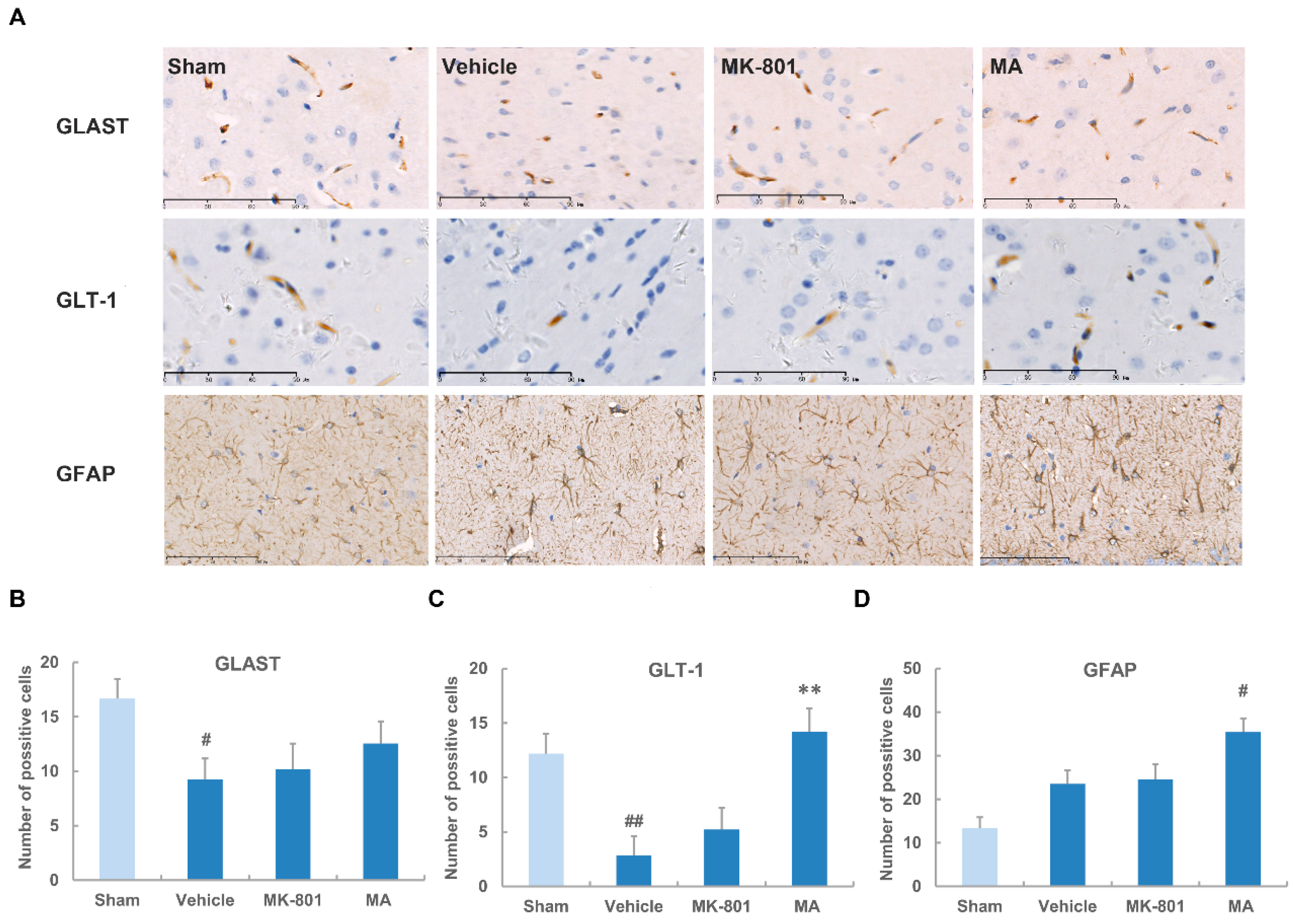Molecules 21 01093 g004
