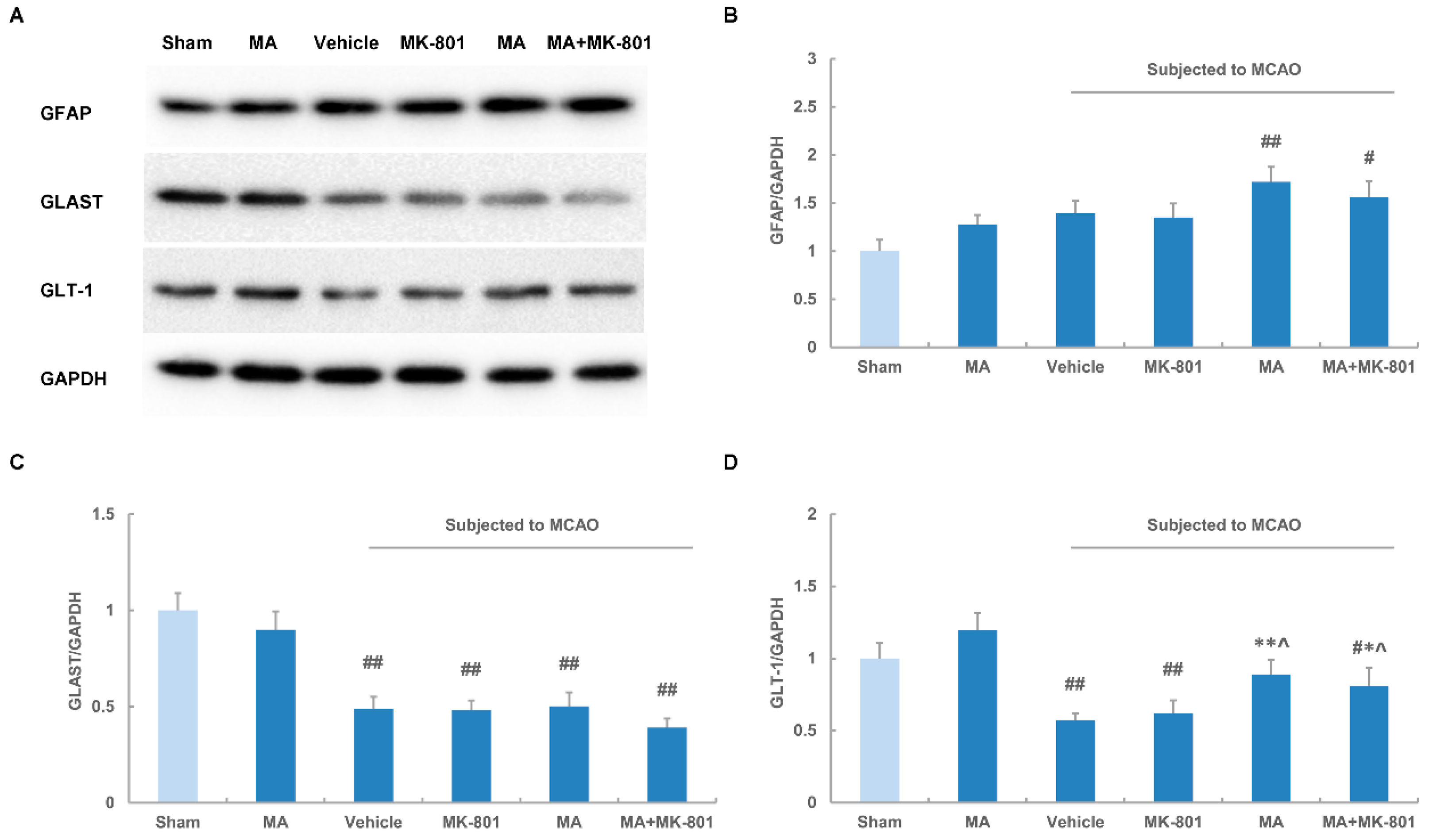 Molecules 21 01093 g005