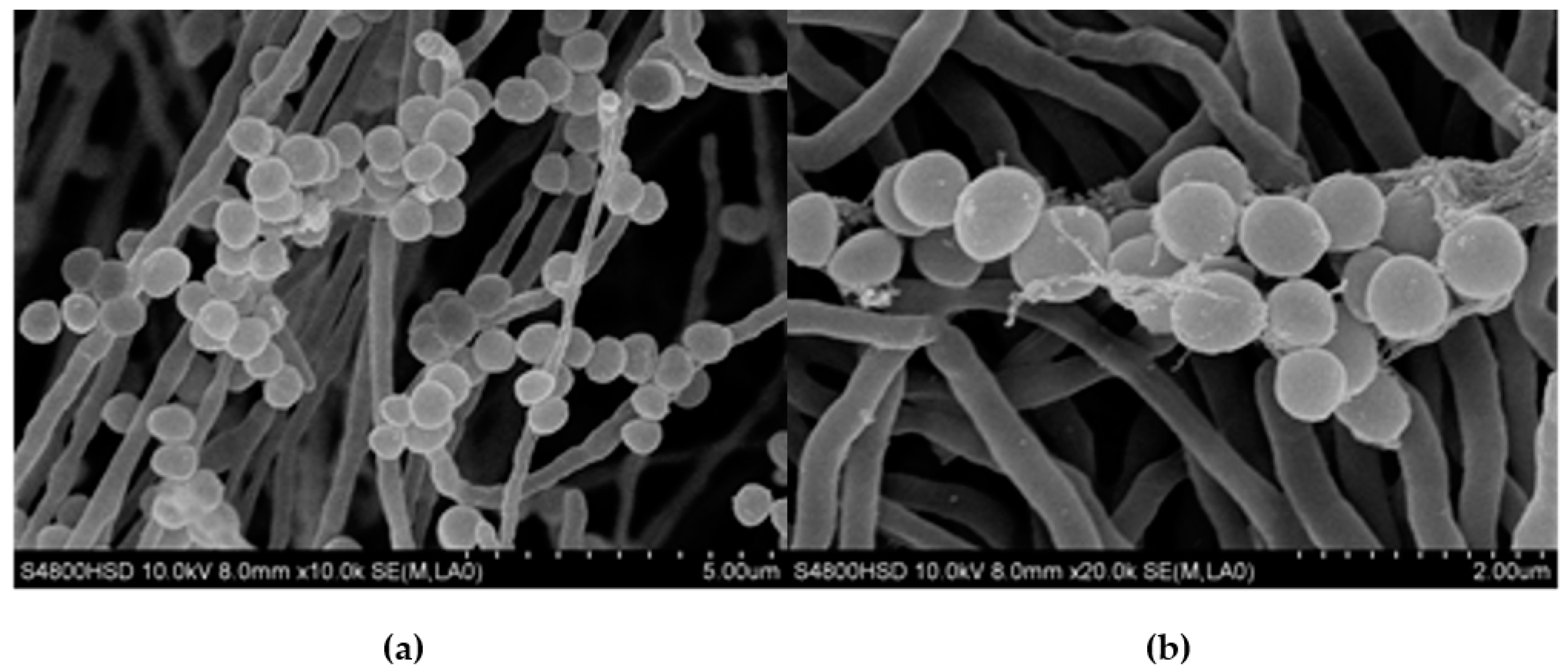 Molecules 21 01101 g001