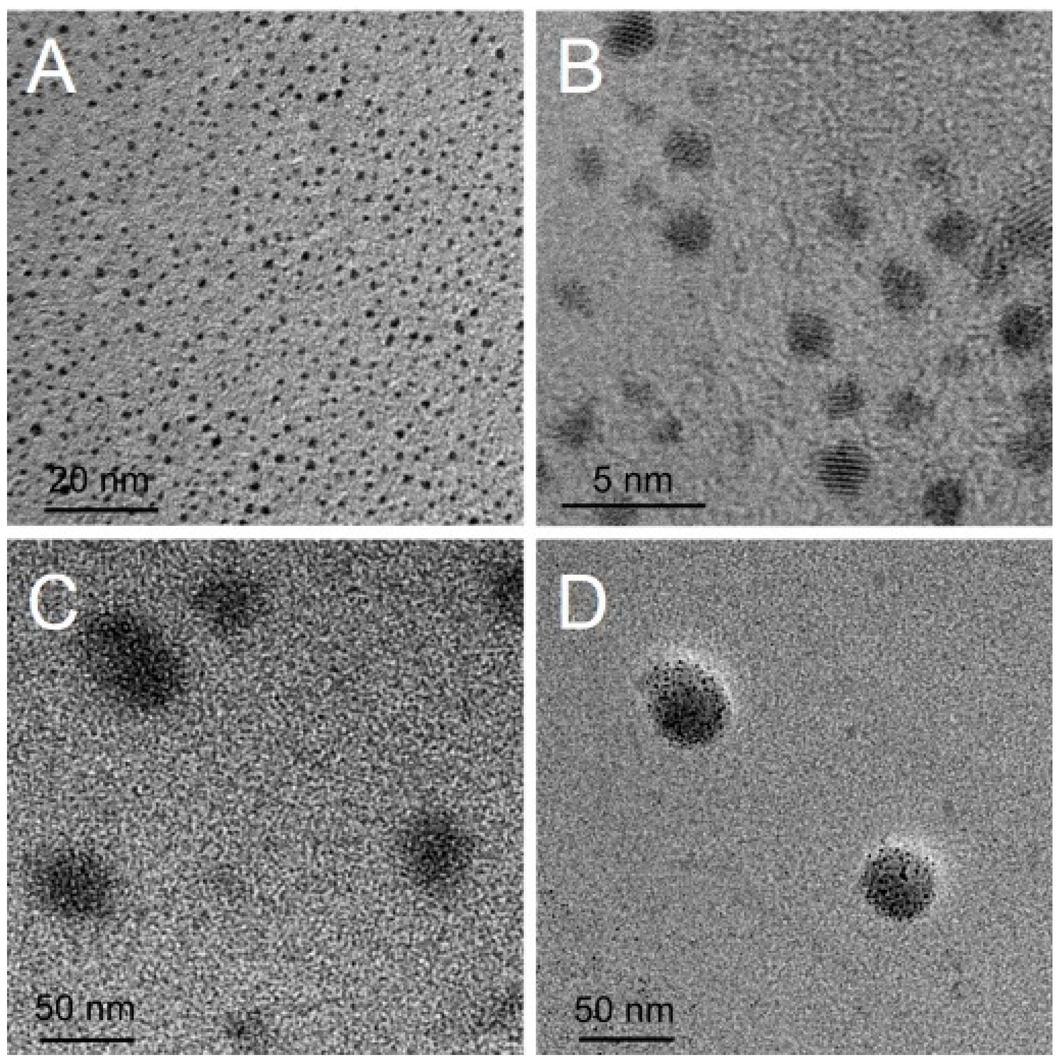Molecules 21 01103 g002