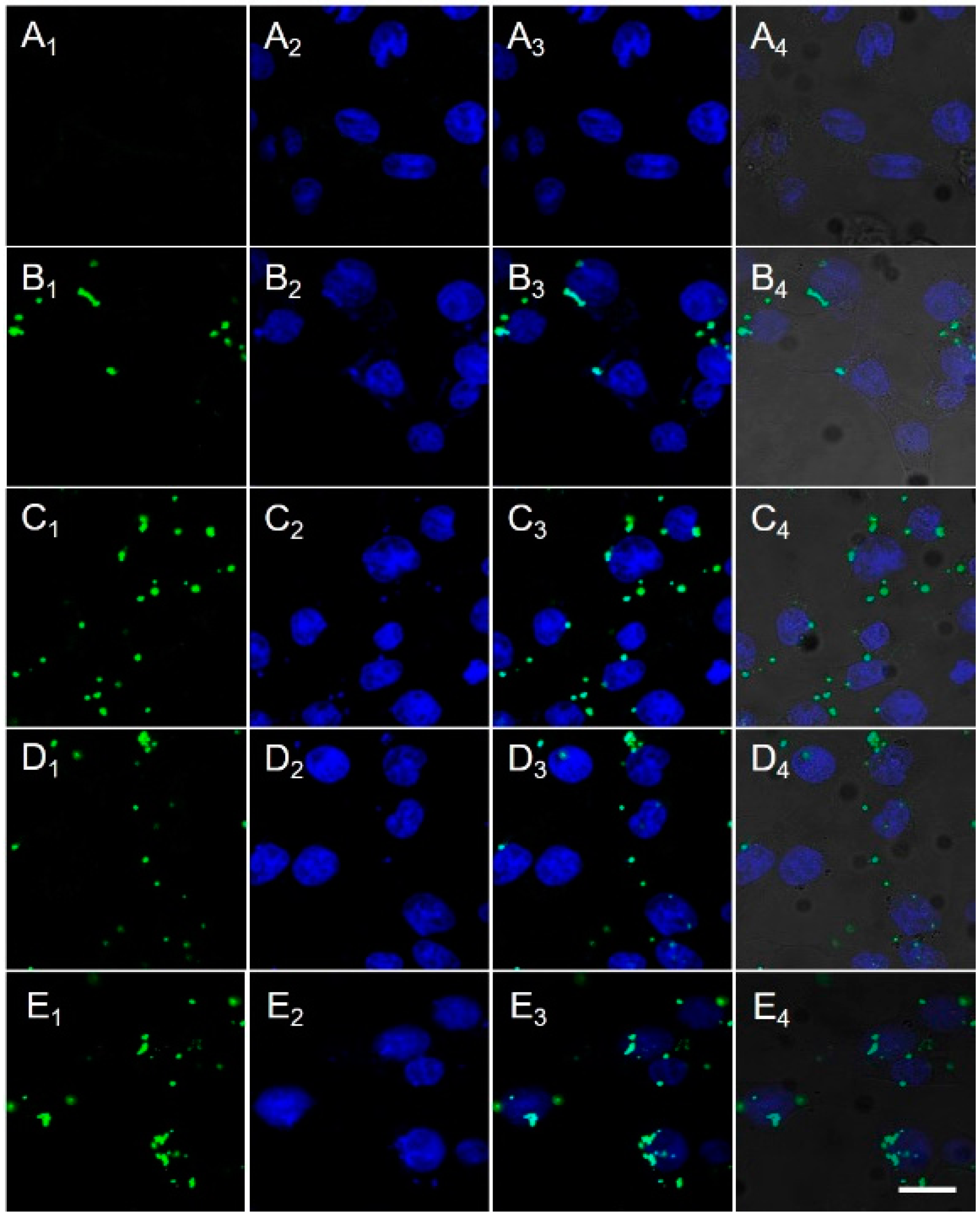 Molecules 21 01103 g003