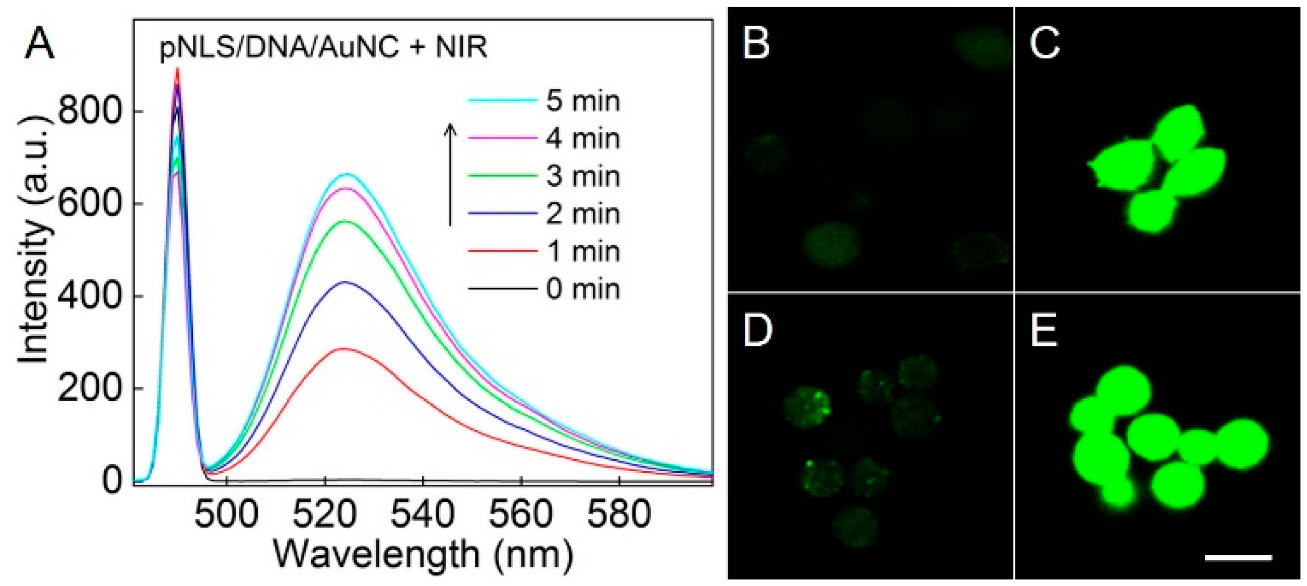 Molecules 21 01103 g004