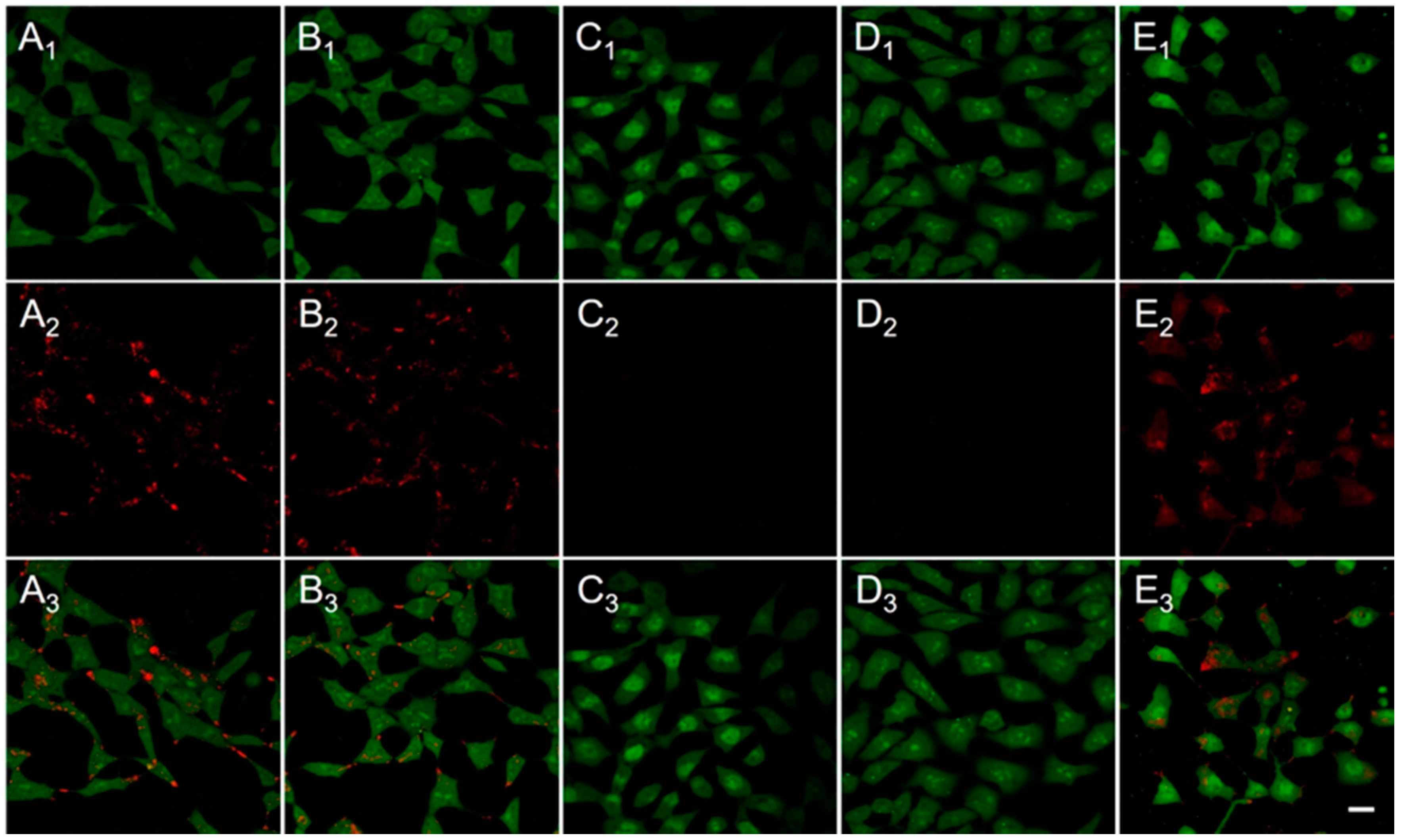 Molecules 21 01103 g005