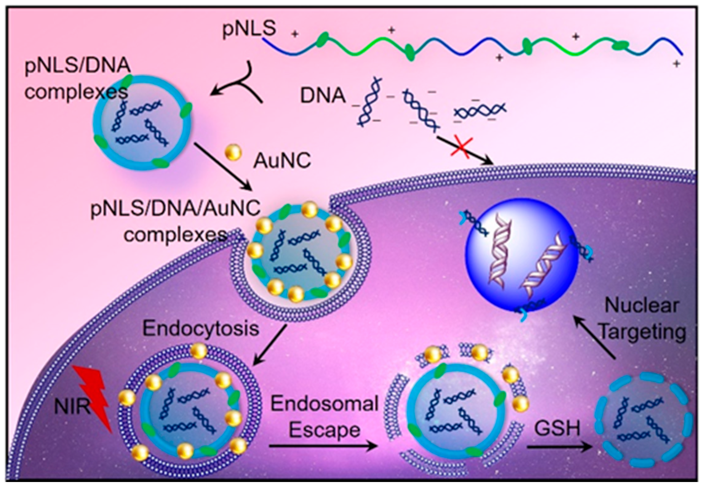 Molecules 21 01103 sch001