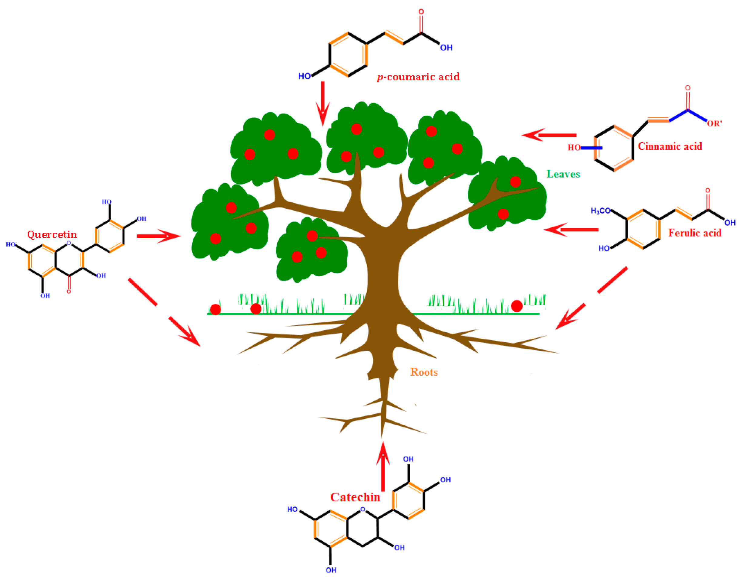 Molecules 21 01104 g001