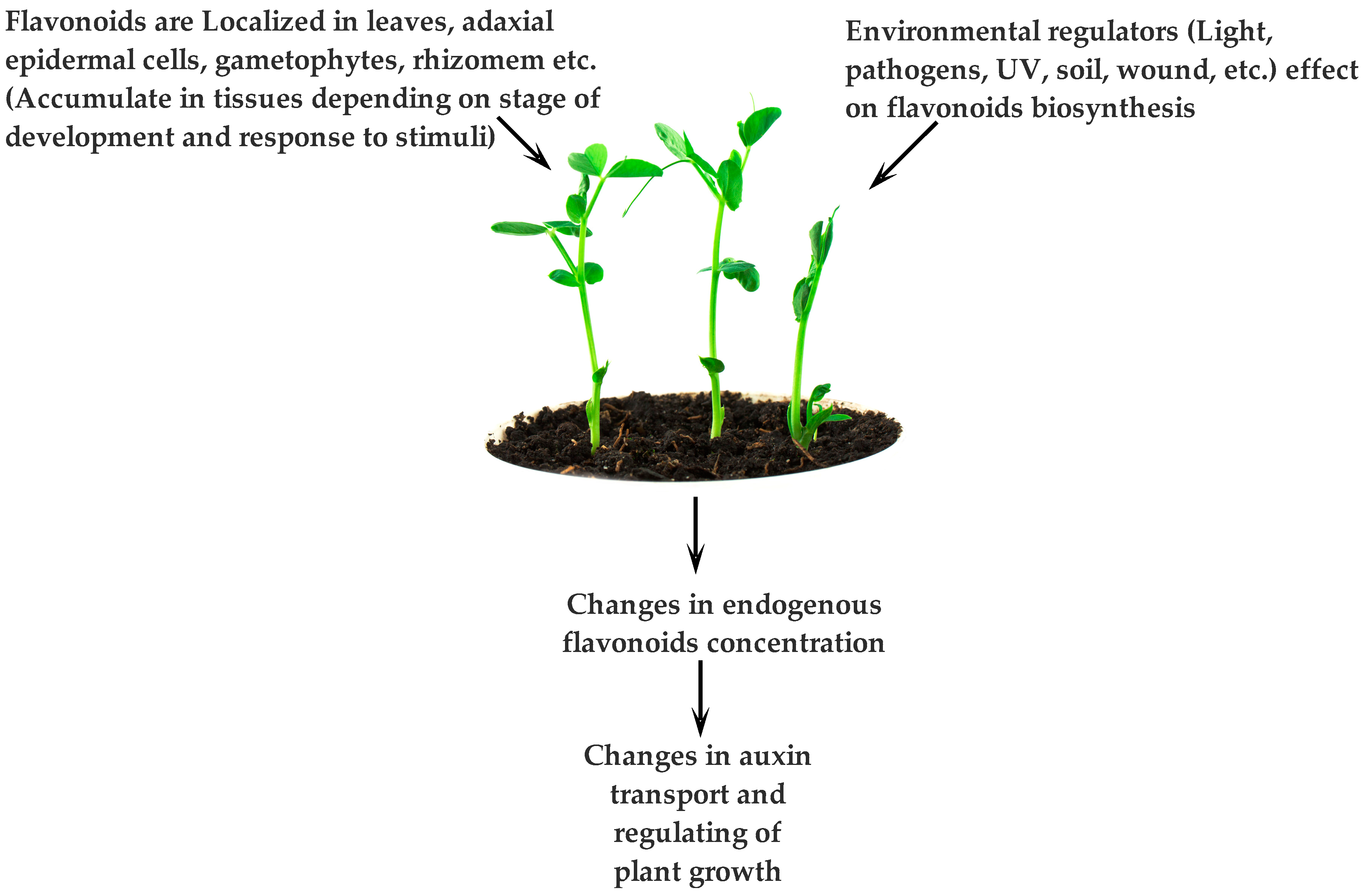 Molecules 21 01104 g006